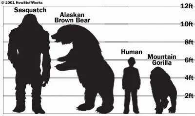 bigfoot-size.jpg