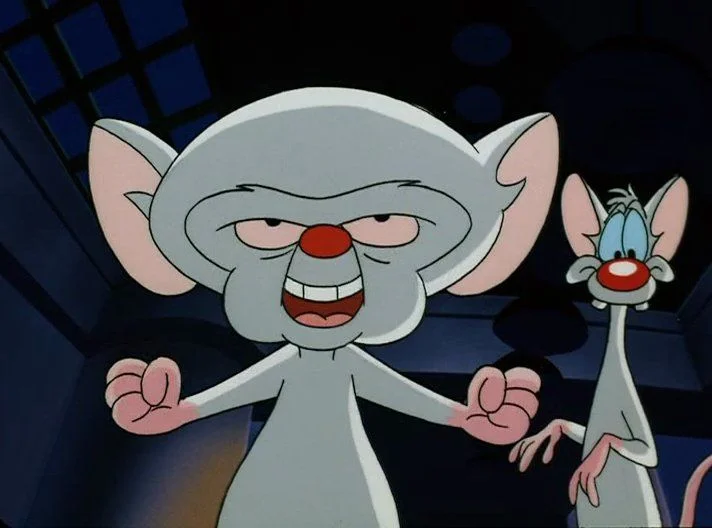 the-brain.jpg