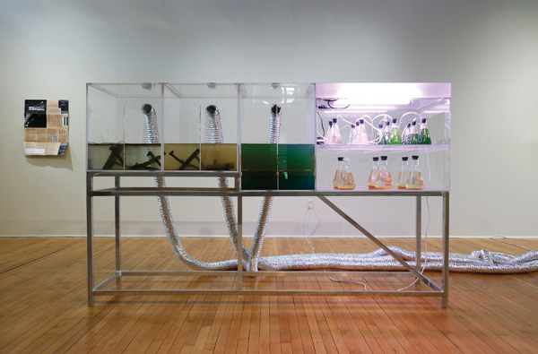 "Prototypes for the Preservation of Degradation" by Colin Lyons