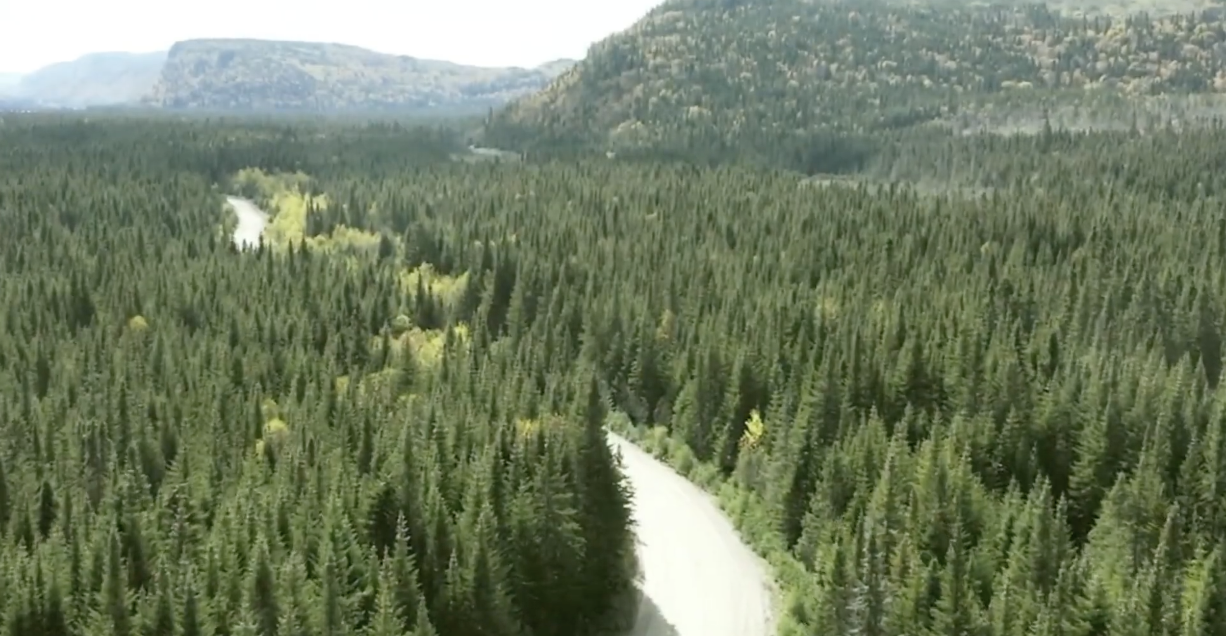 Defense Metals Corp. Wicheeda Project near Bear Lake selected by CMO for permitting support