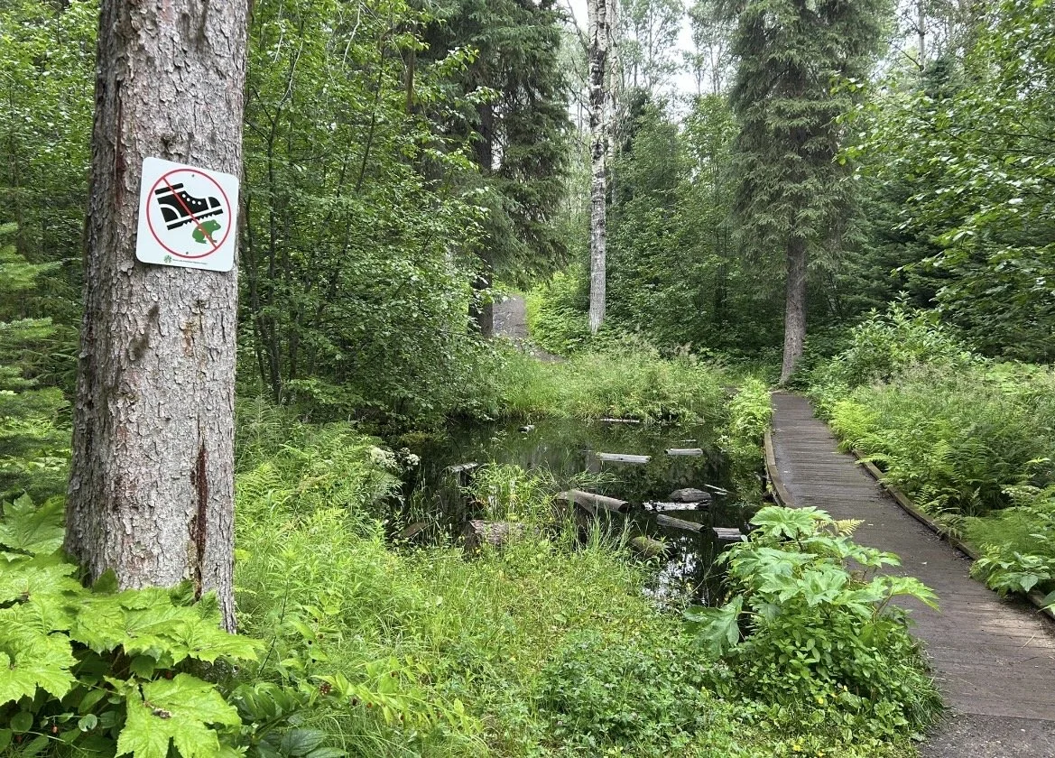 Shane Lake Amphibian Migration project SLAMs stickers across Prince George to raise funds