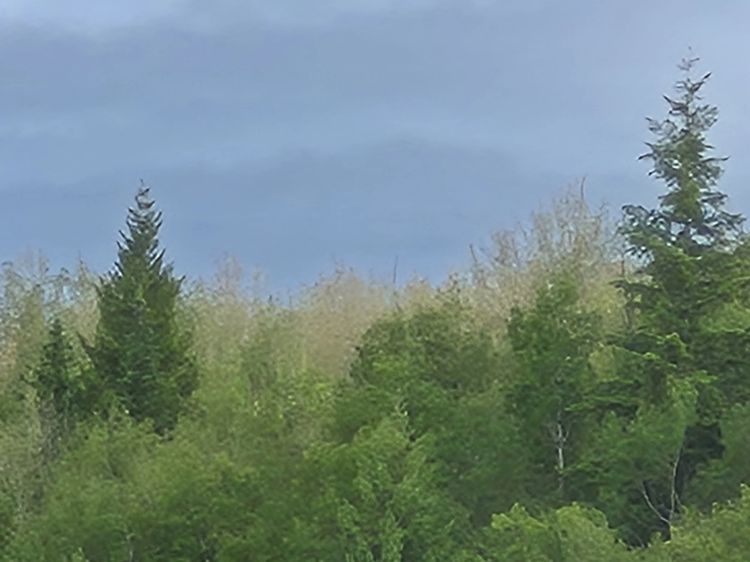 20260617_191947.jpg
