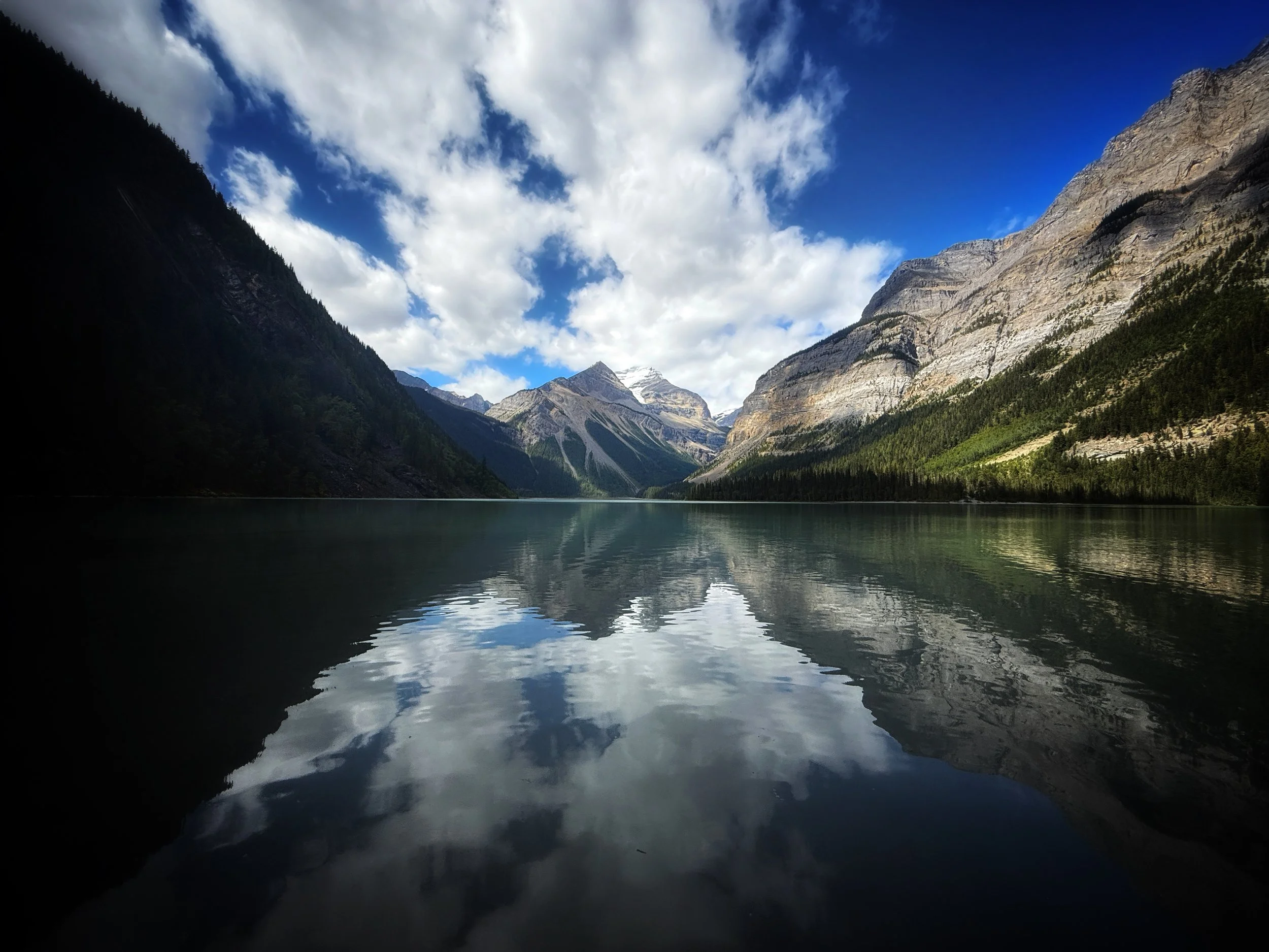 Local dives into the Fraser River Challenge