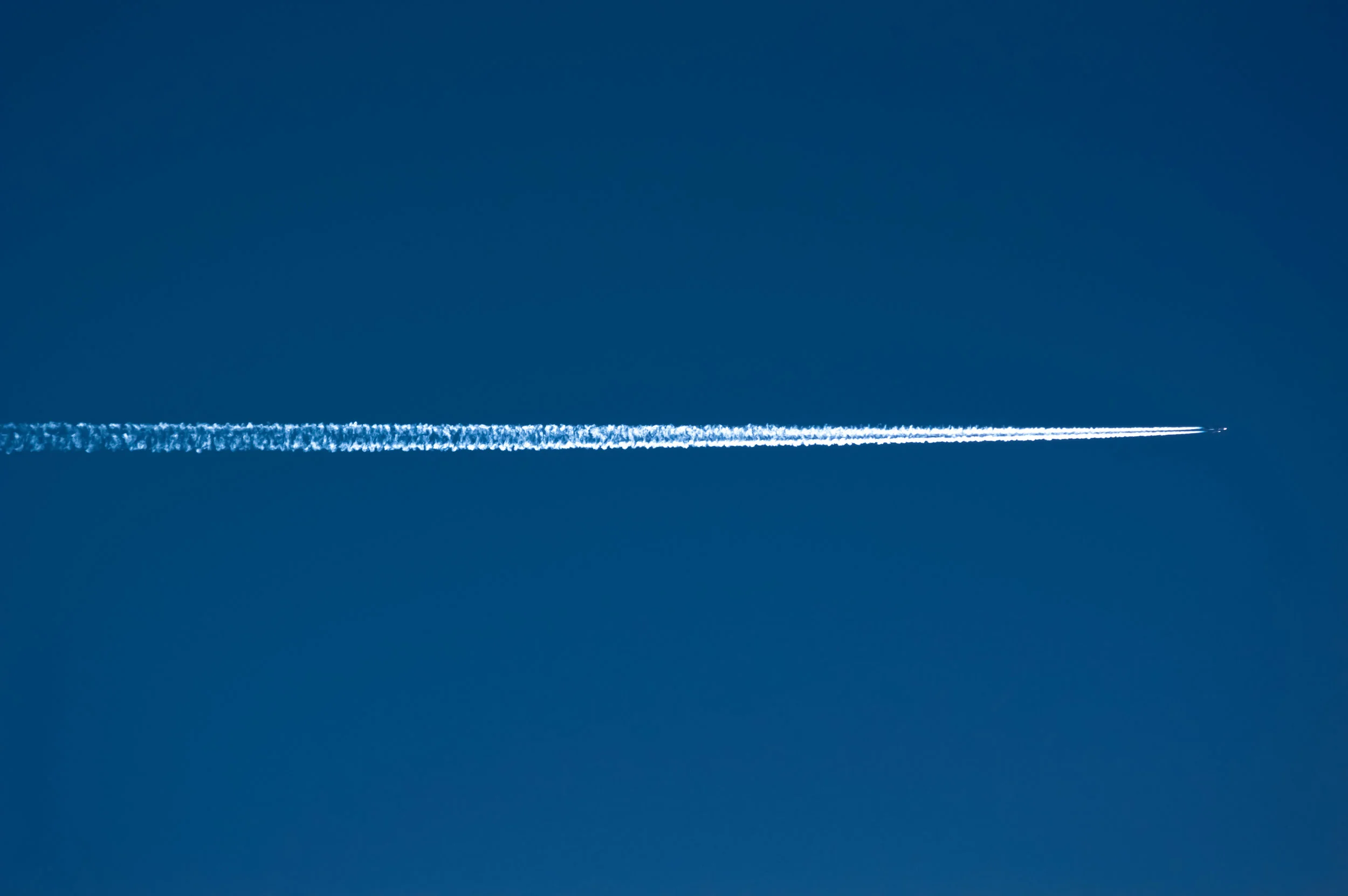 _DSC0337 3.jpg