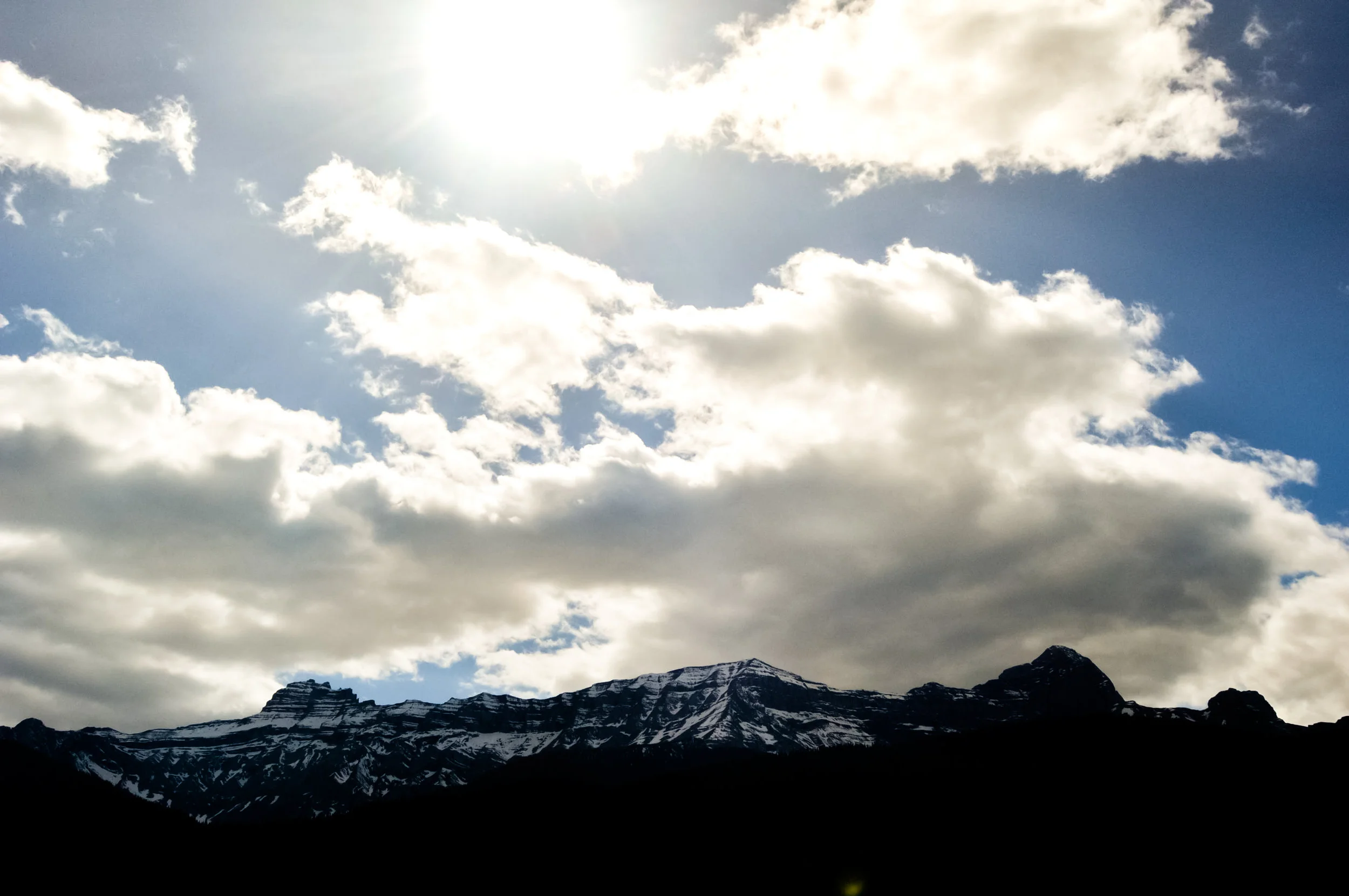 _DSC0717_1.jpg