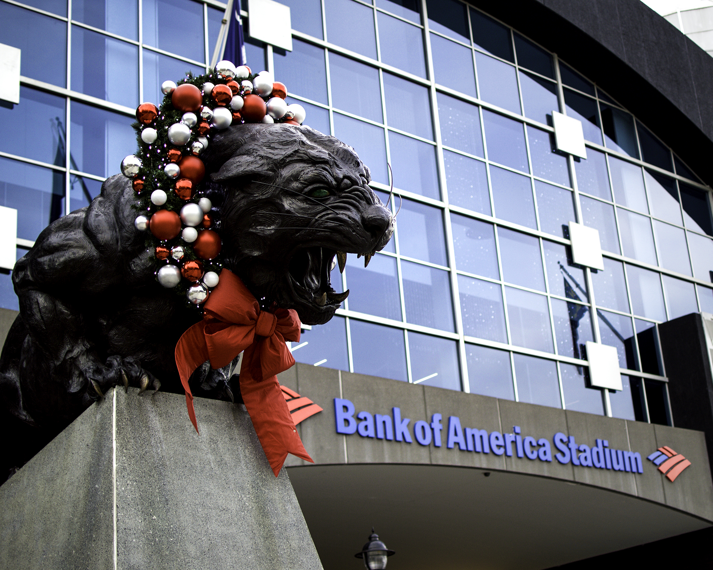 Happy PantherDays_10x8.jpg