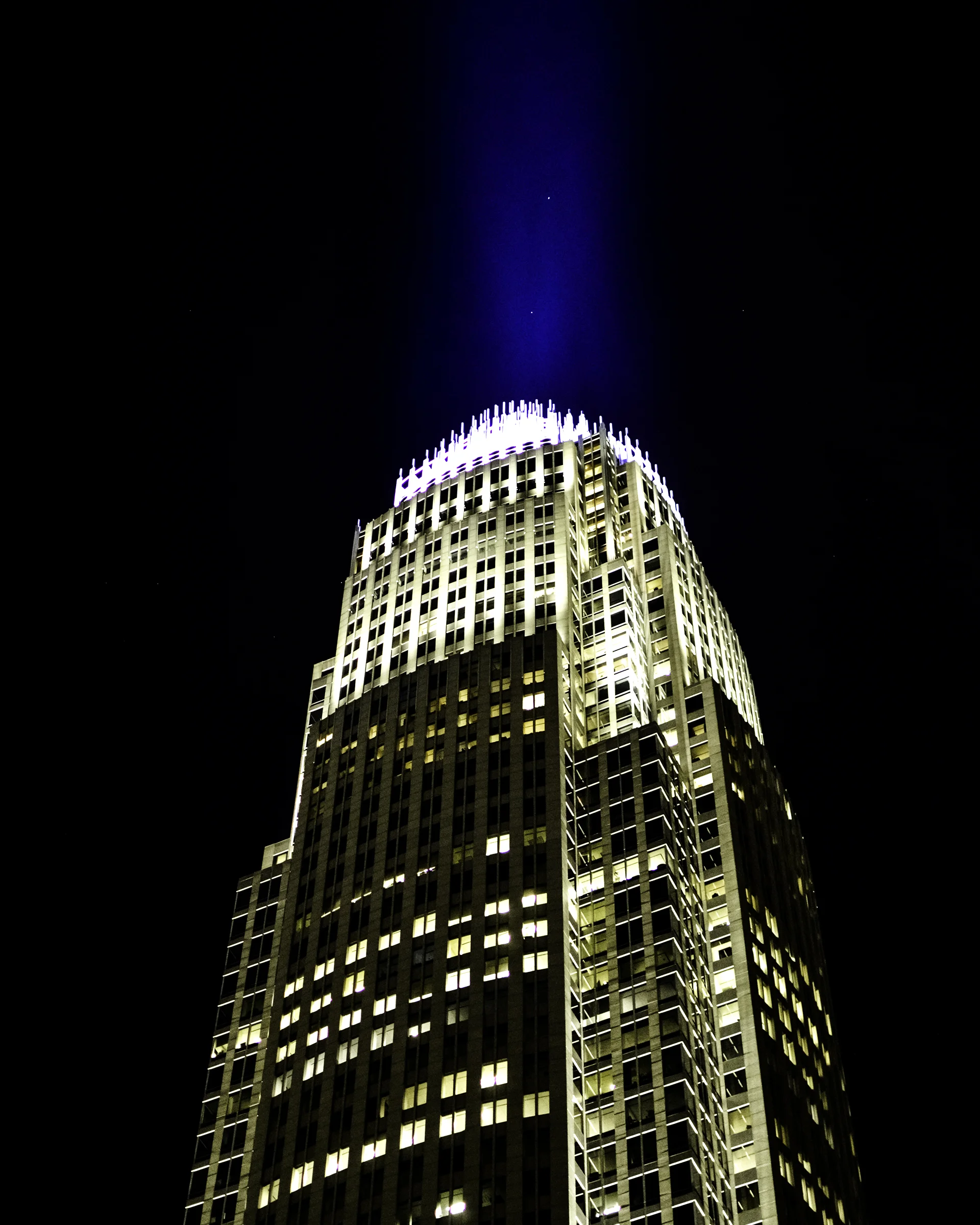Bat Signal_8x10.jpg