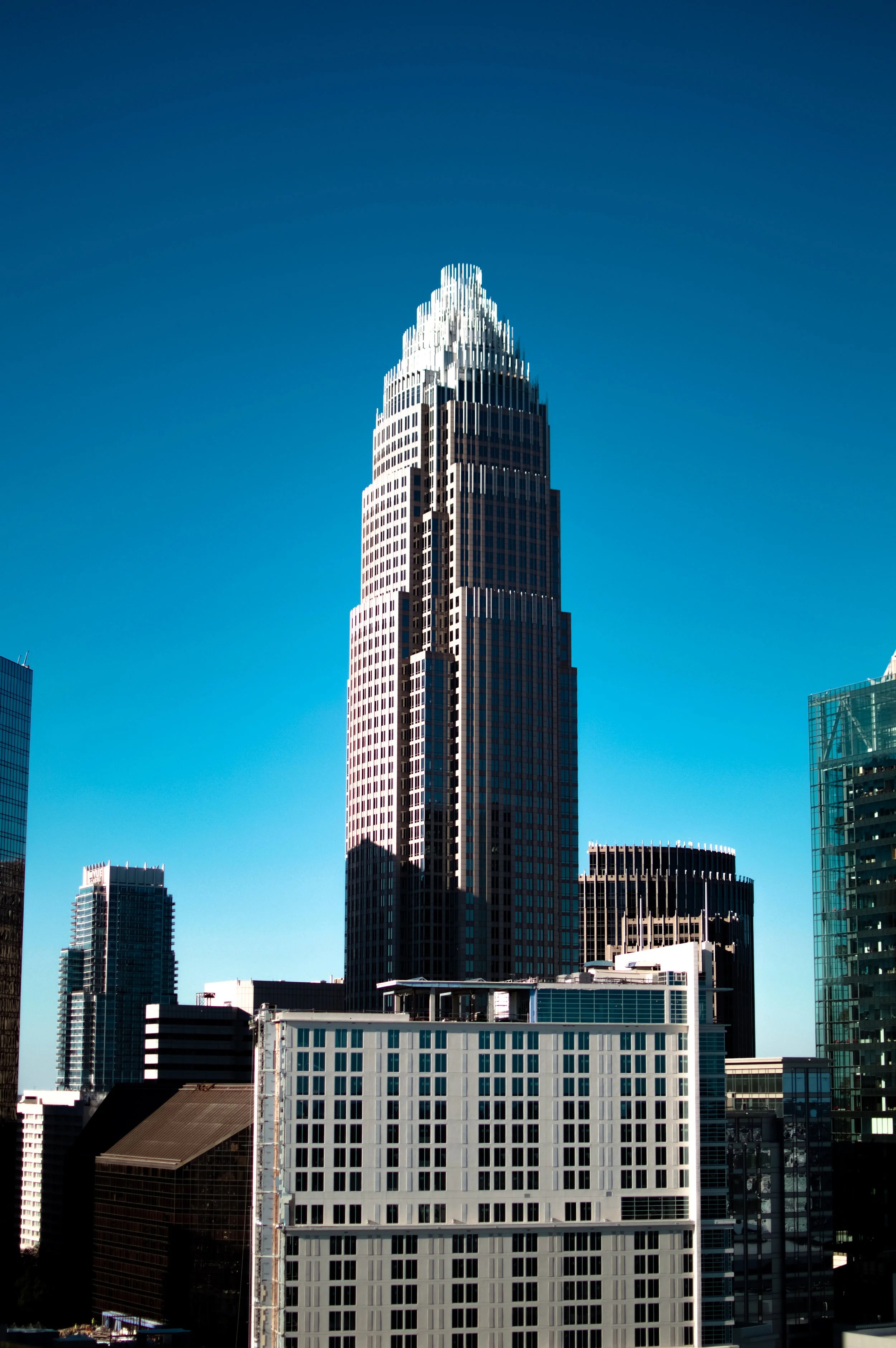 CLTfall_DSC0509-2.jpg
