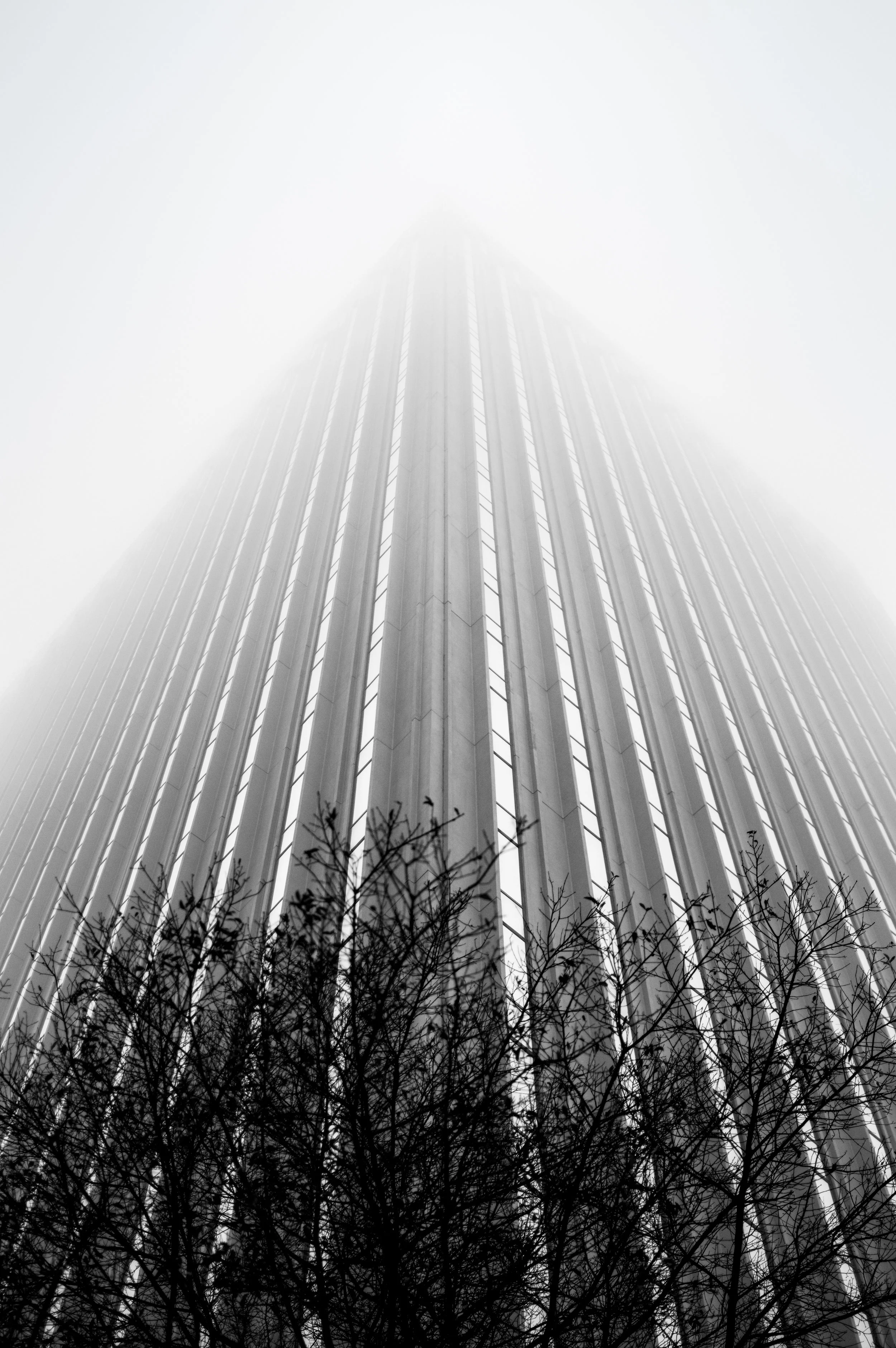 021018_DSC0177 (4).jpg