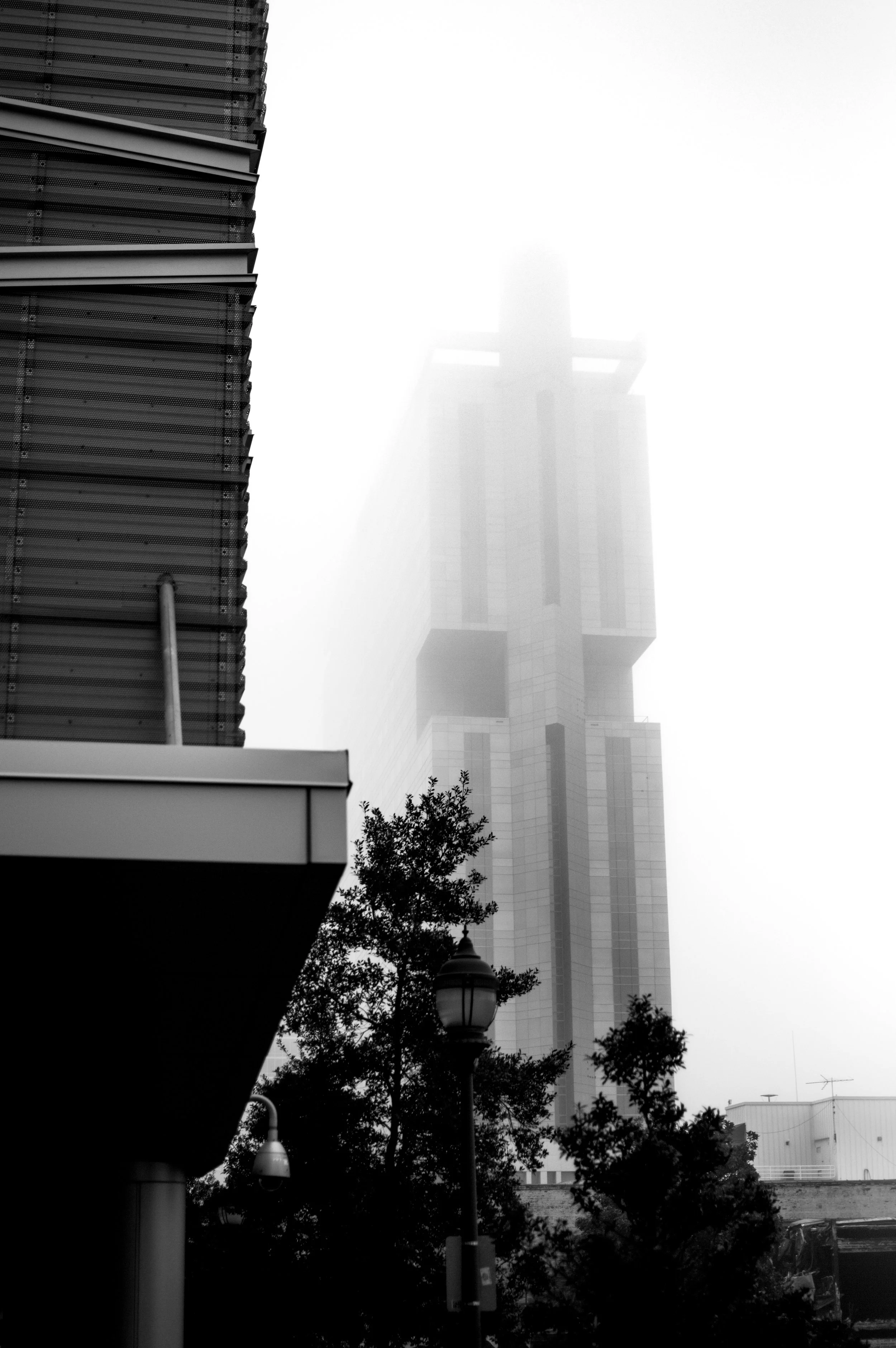 021018_DSC0203 (3).jpg