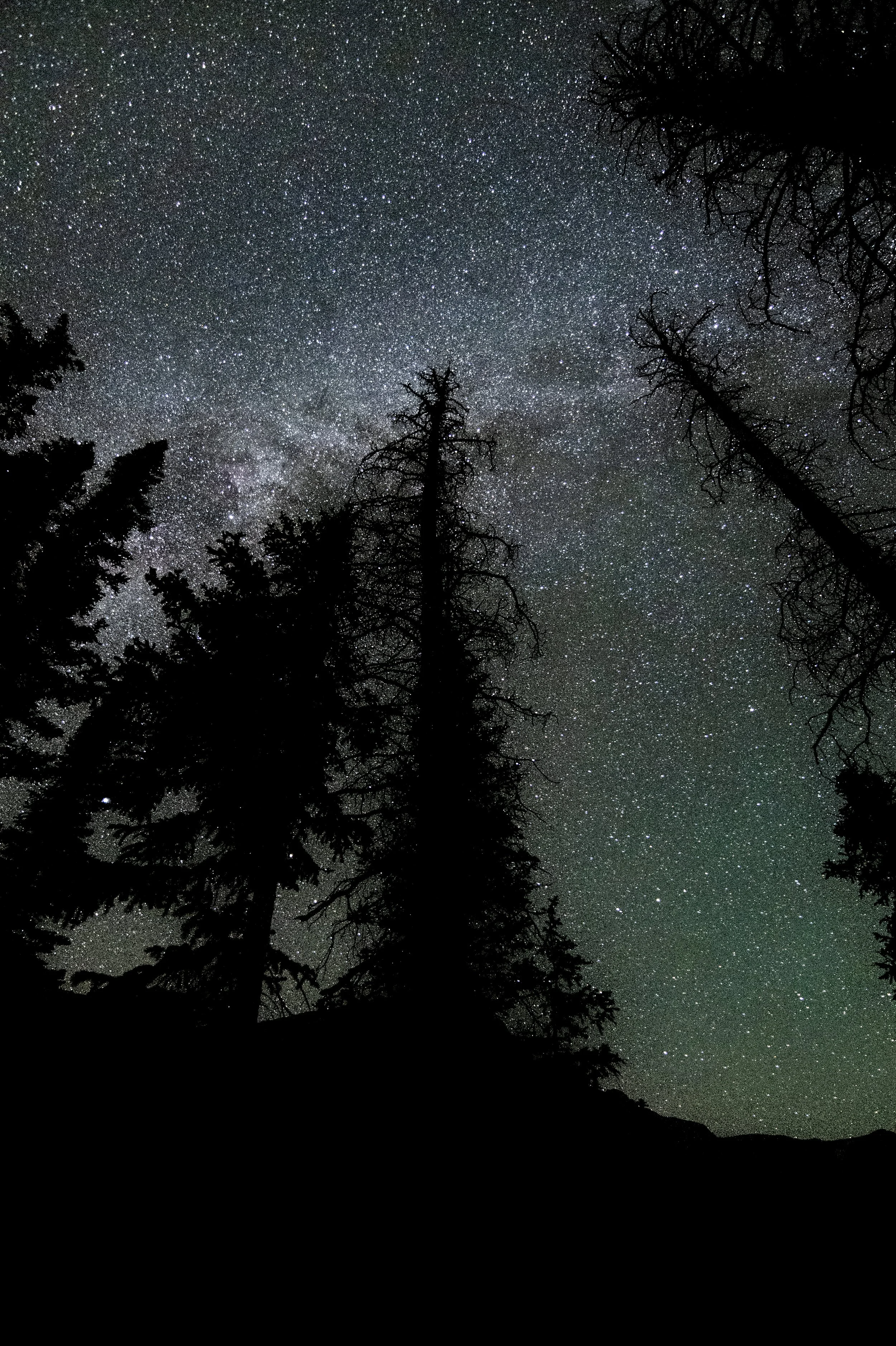 081323_Set 2_DSC_0004.jpeg