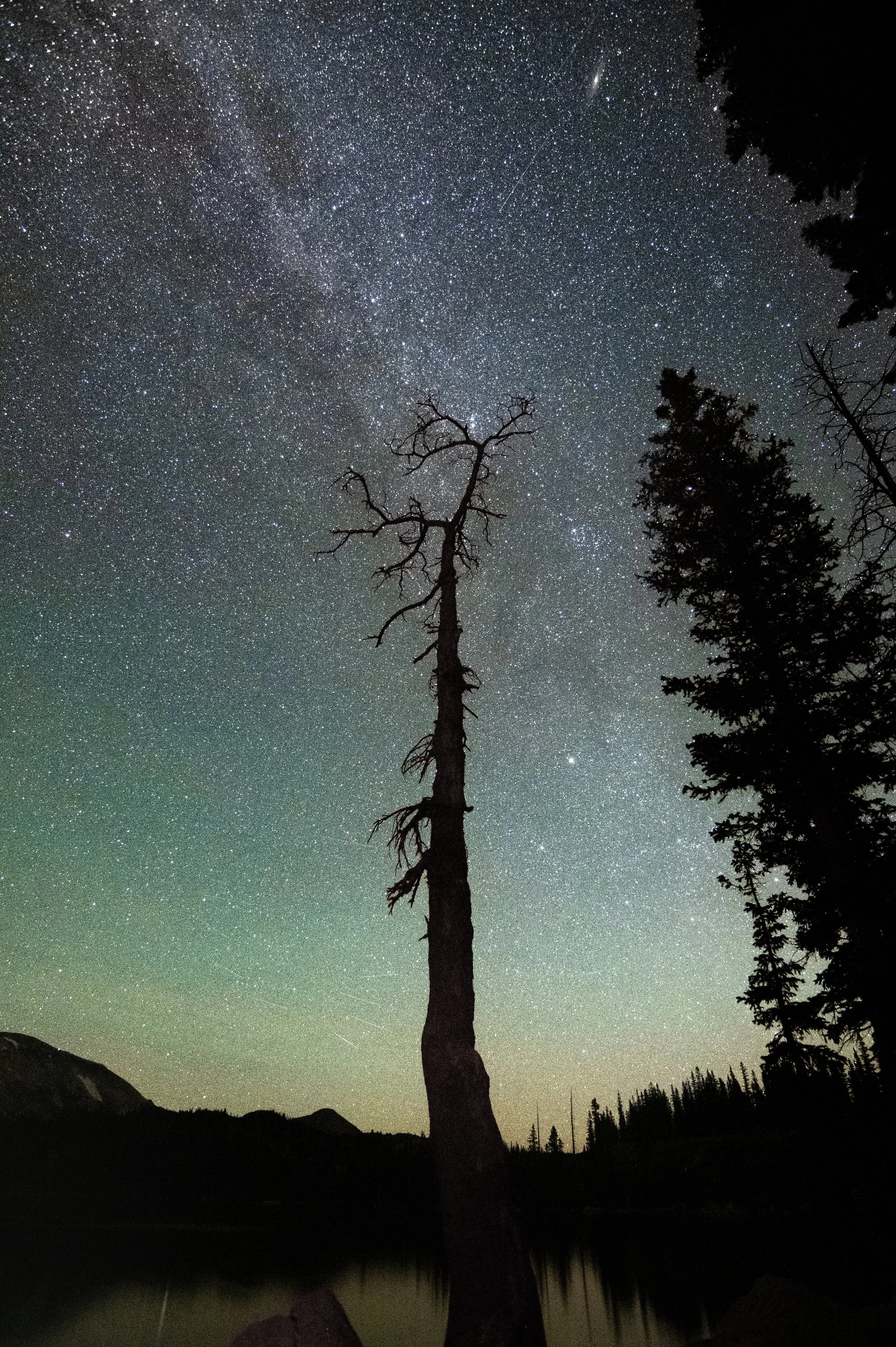 081323_Set 2_DSC_0002.jpeg