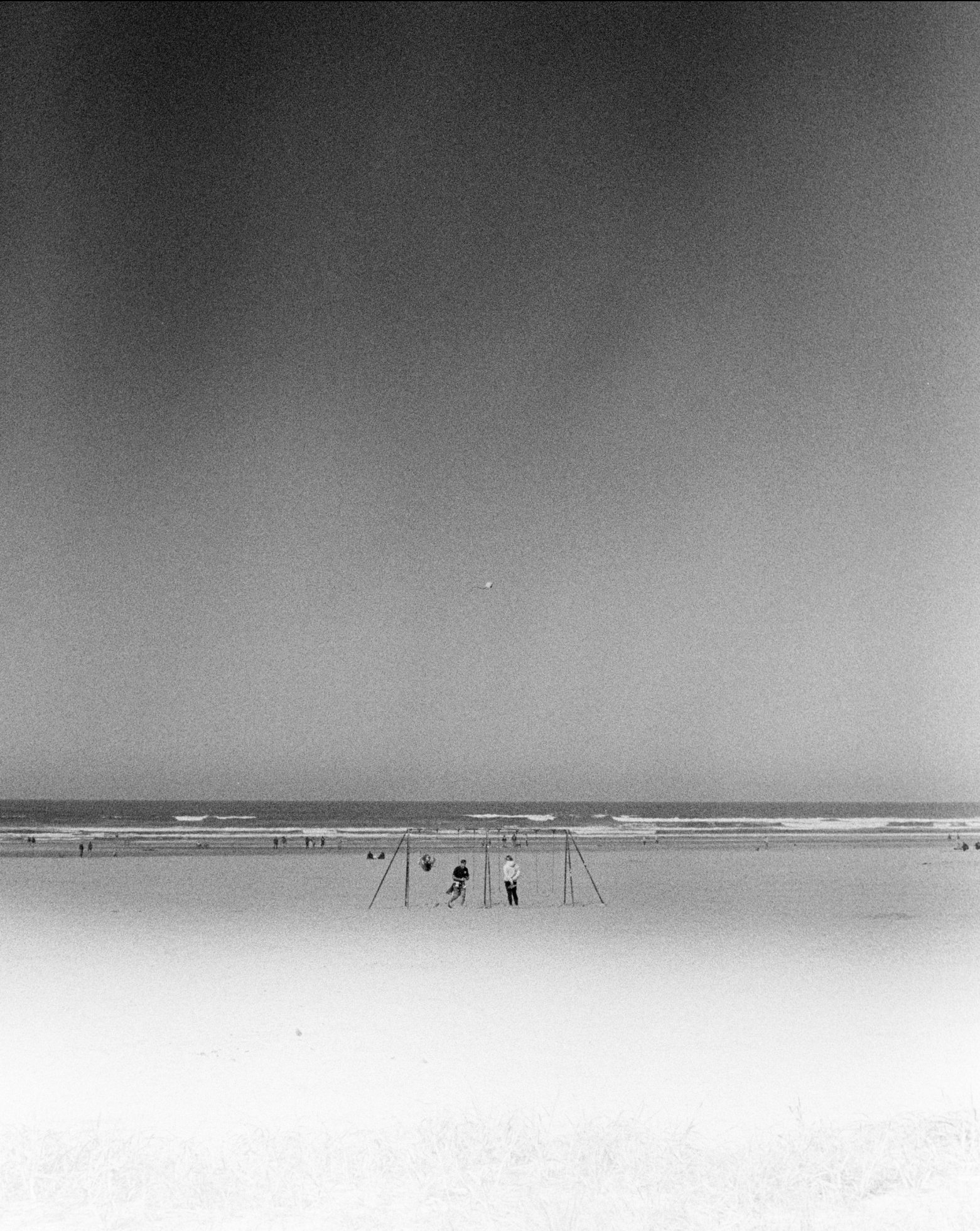 Screenshot 2026-02-19 at 2.04.35 PM.png