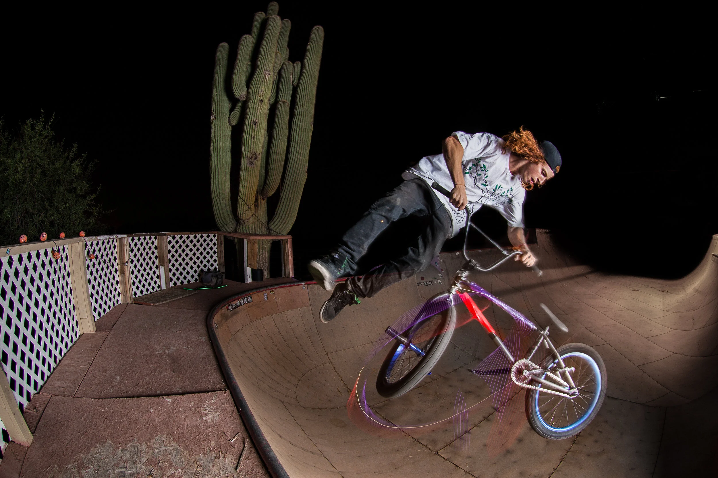 Jesse Tellez, 2015