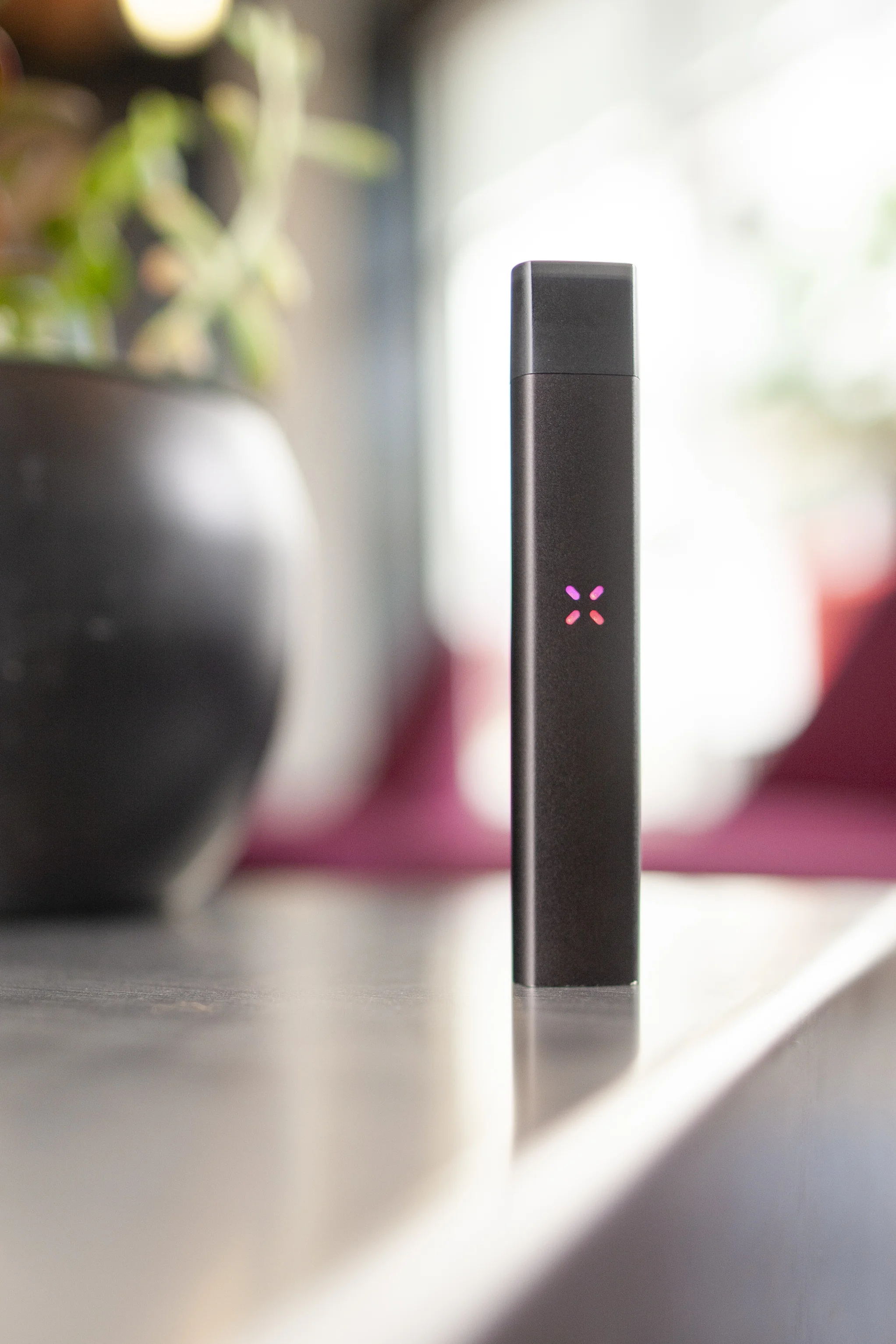 pax-8590.jpg
