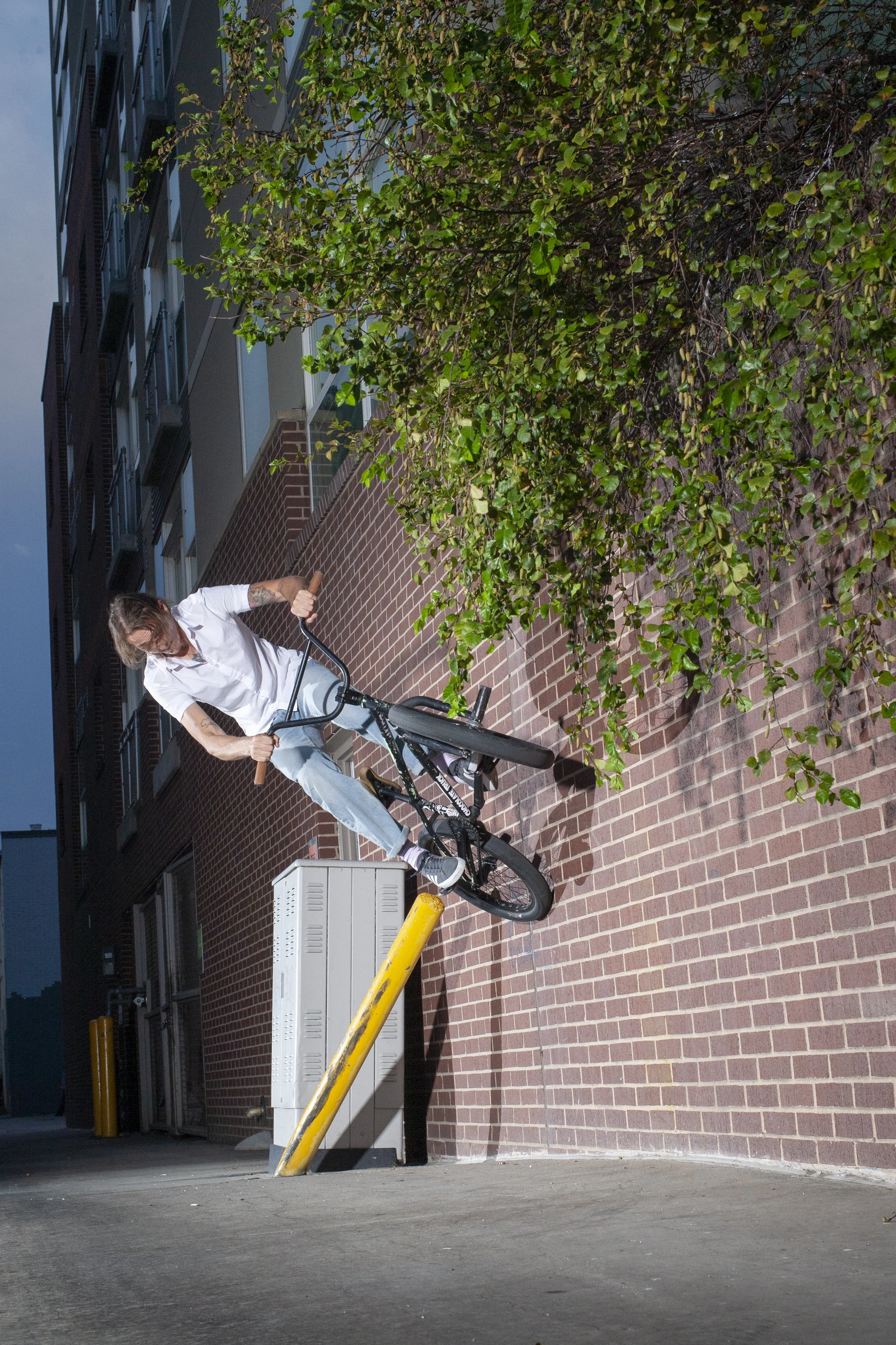 ross-polewal180-7603.jpg