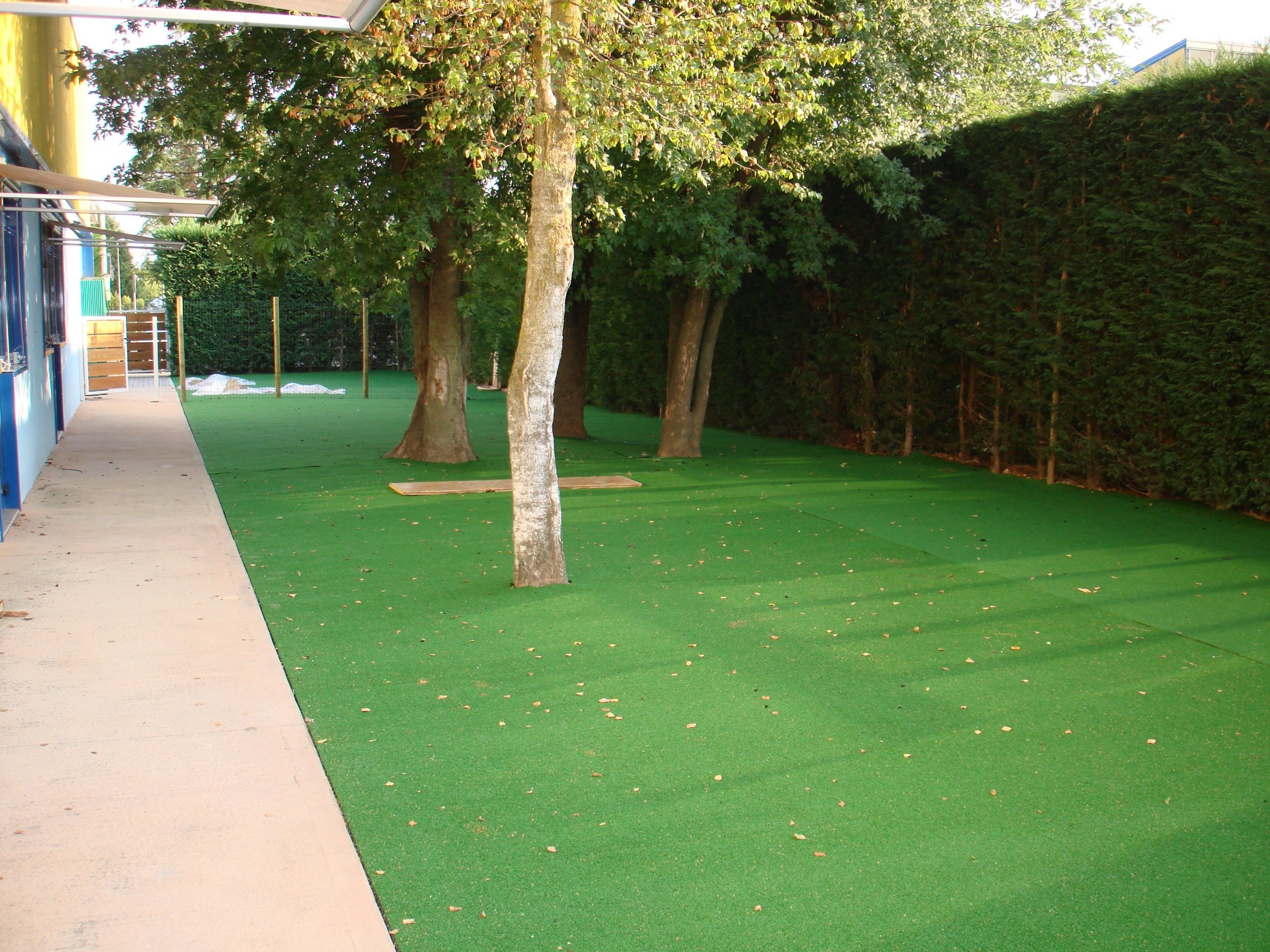 synthetic-grass-sports-flooring-eco-floor-15-by-piesse_grass-on-floor_home-decor_bohemian-home-decor-yosemite-theater-peacock-decorators-coupon-collection-fall-catalogs-owl.jpg