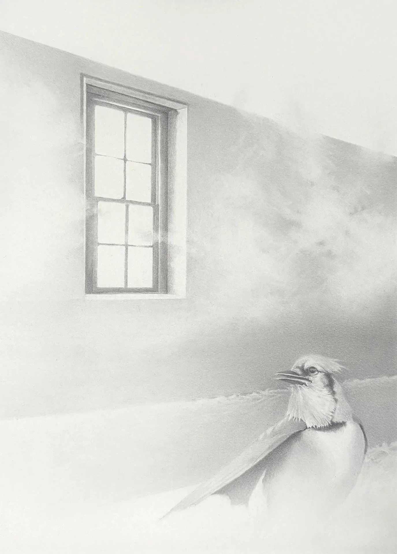 Perceived Boundary, 10 X 14", Graphite on Paper, 2025