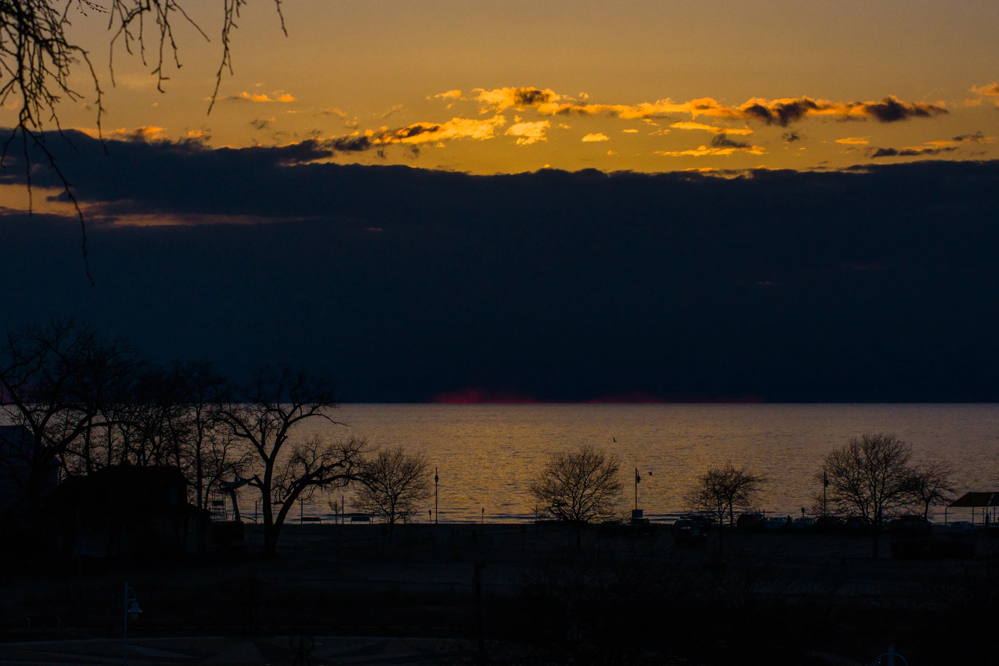 _DSC2021.jpg