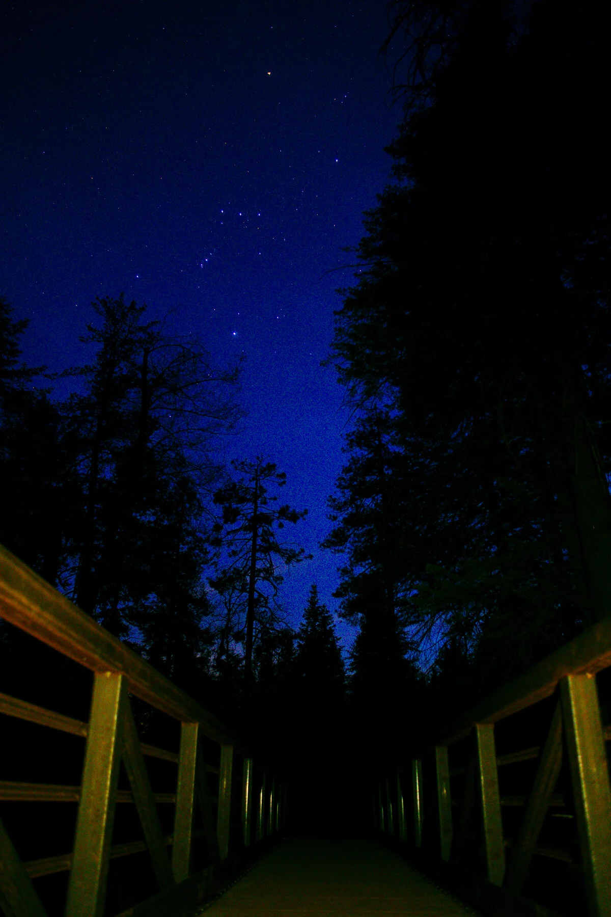 DSC00722_1 small.jpg