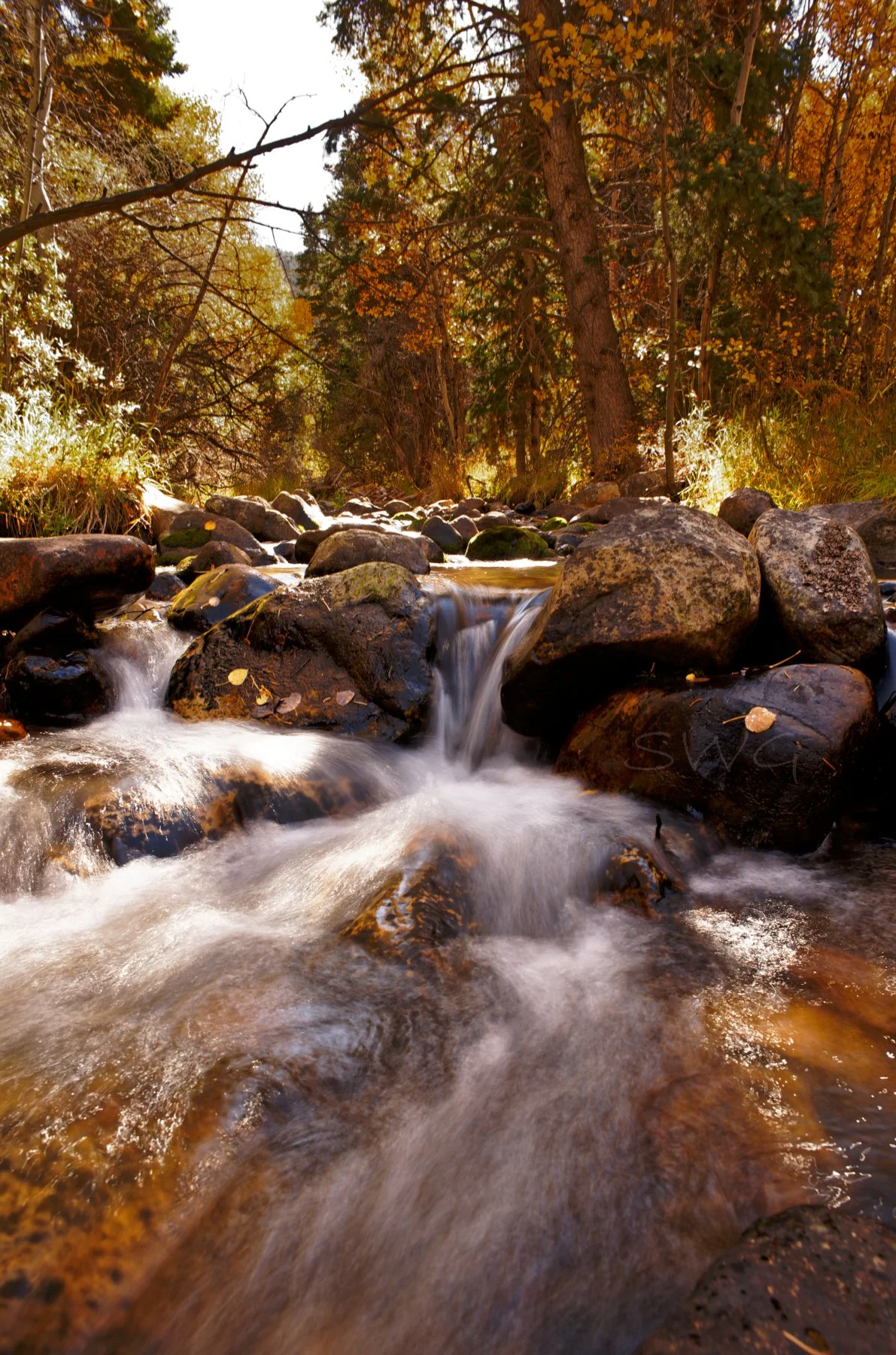 Fall Stream running.jpg