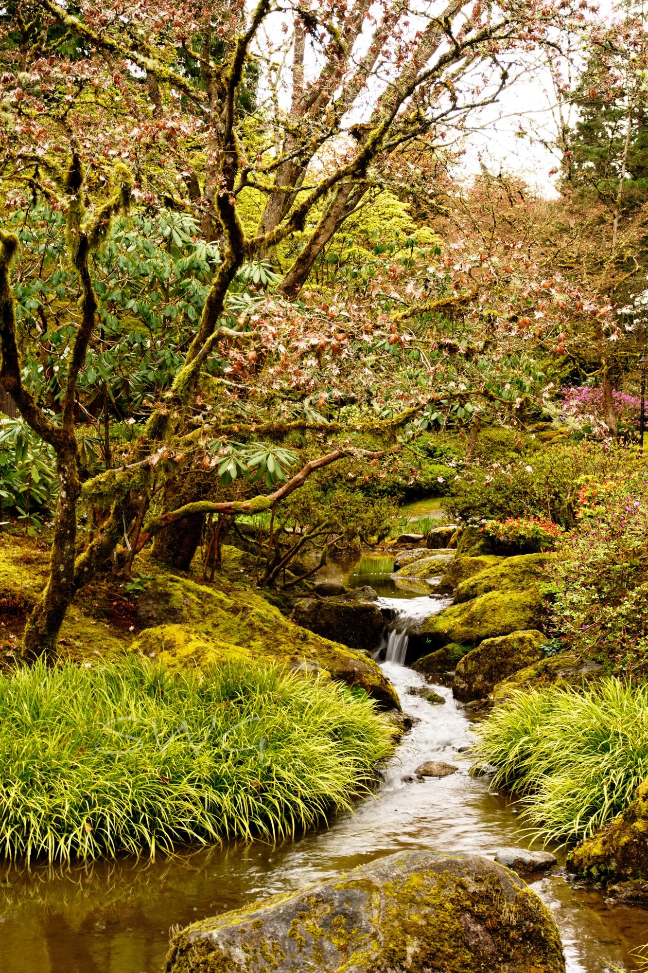 Waterfall garden WM.jpg