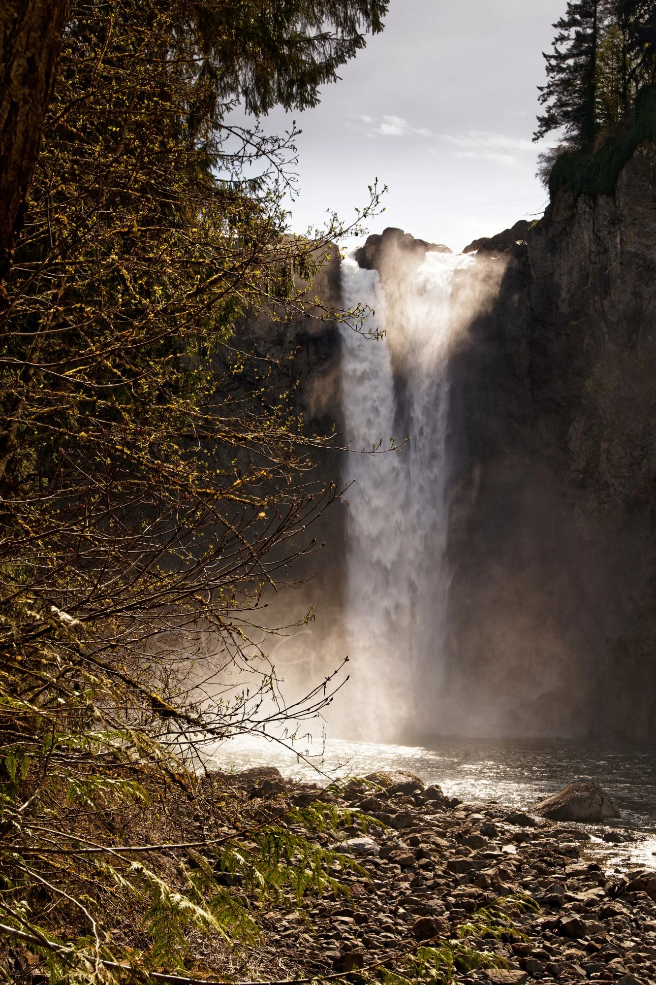 Lower Snoqualmie WM.jpg