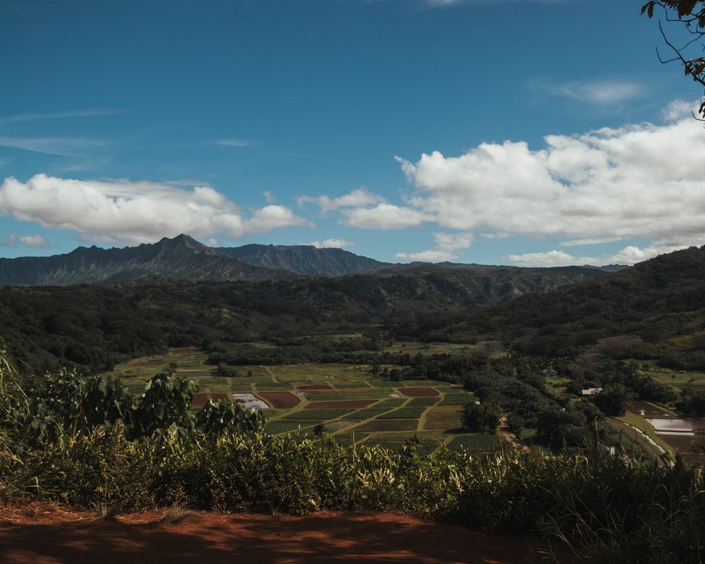   Hanalei Valley lookout  makes for a beautiful pitstop  