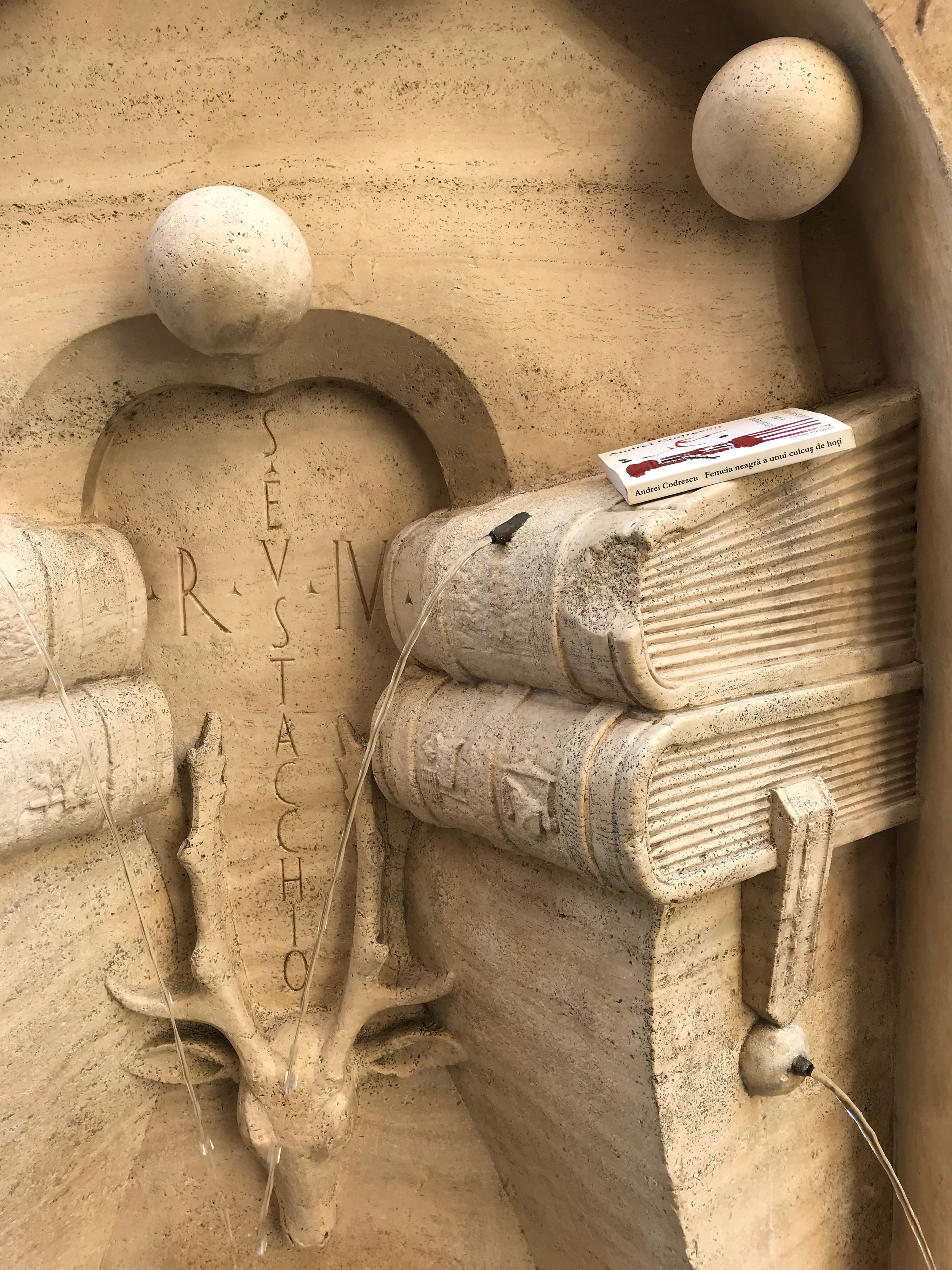 fontana de la sapienza w Codrescu book_SIDE.JPG