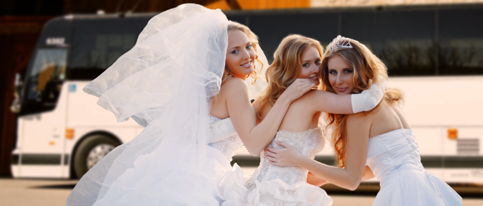 Why Wineries in Paso Robles Are Highly Desirable Wedding Venues