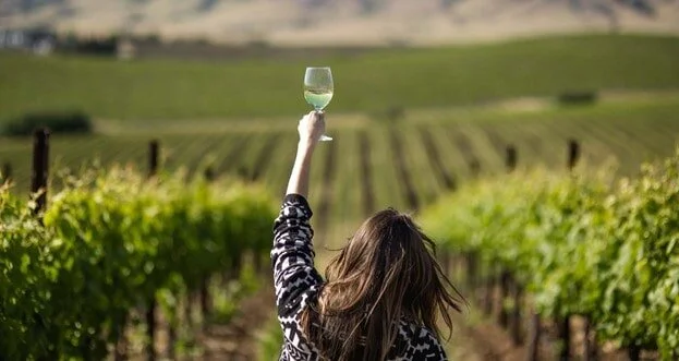 The 4 Insider Tips To Wine Tasting