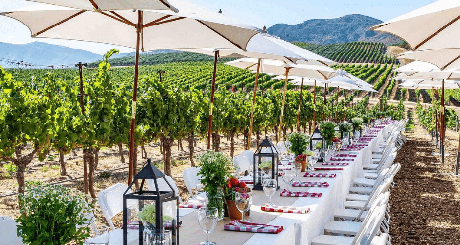 4 Of The Best Wineries In Santa Ynez For Red Wine