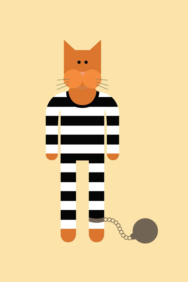 Cat Burglar