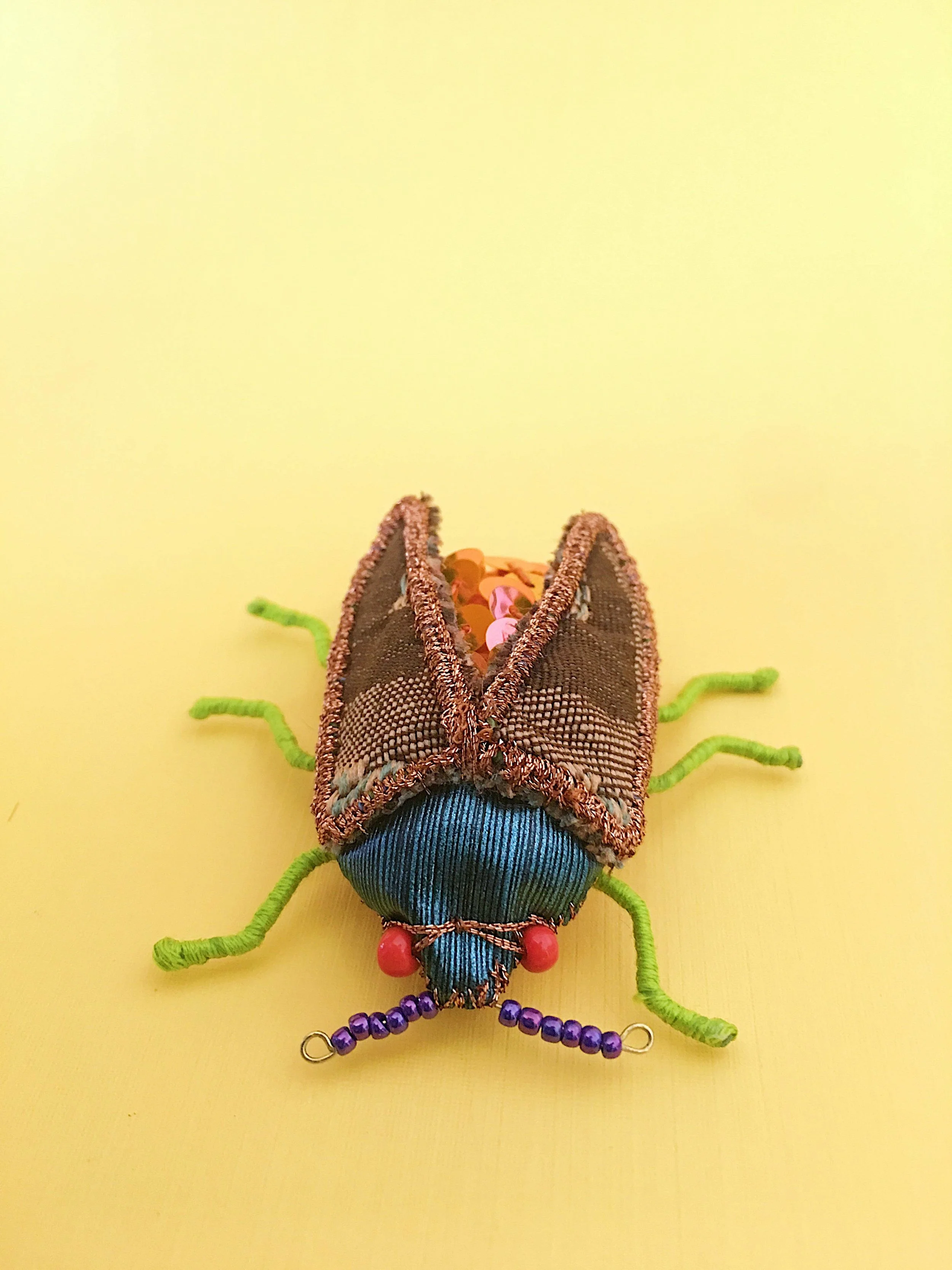 Beetle Buddy 5