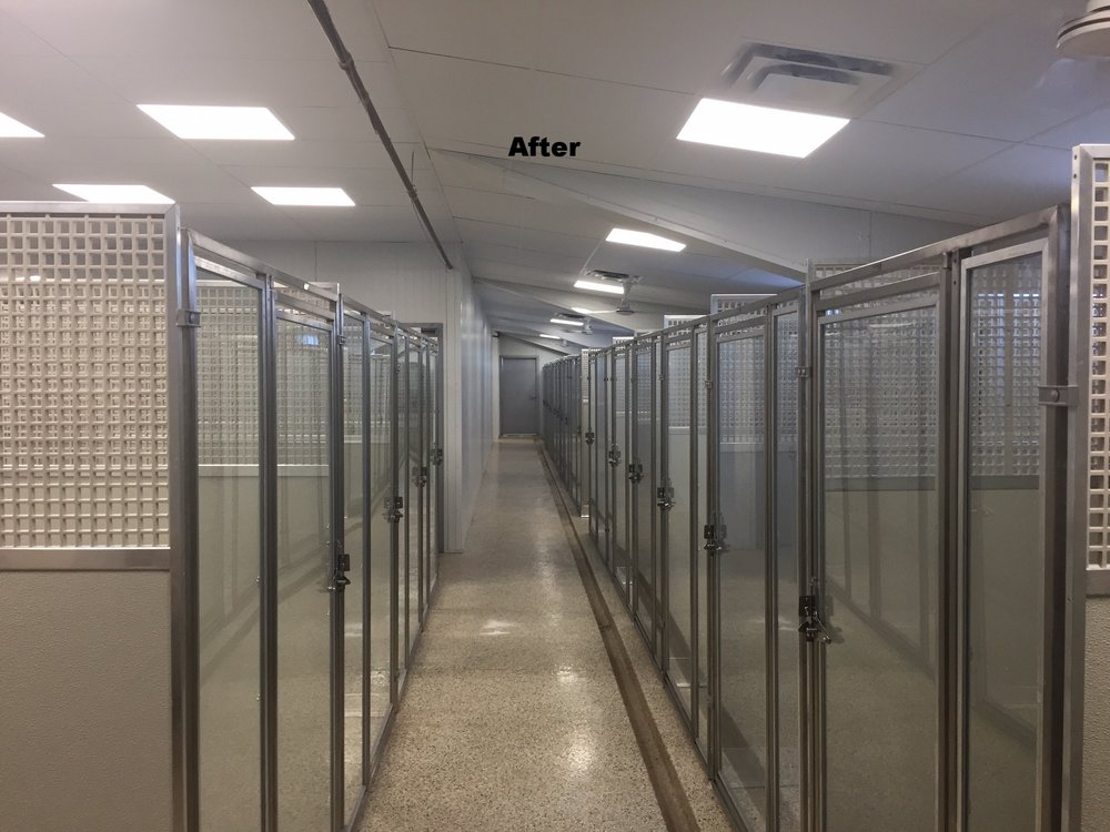 The Ranch Kennels Renovation — Meyer 