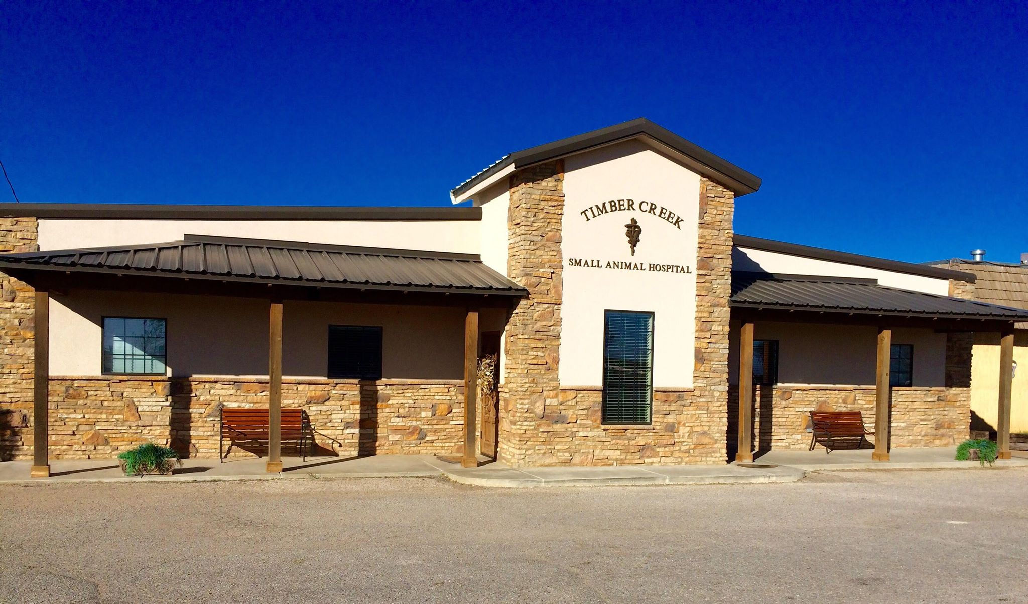 Local Animal Hospital Offering Discounted Spay/Neuter Rates — The Amarillo  Pioneer