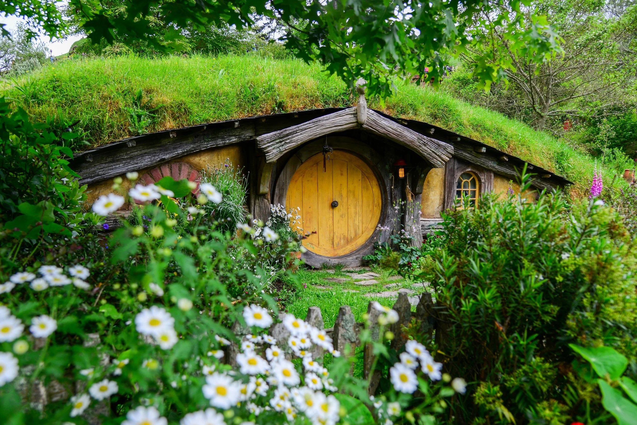 Hobbiton Tour    Full Day Tour    NZD$265  /per Adult &nbsp;  &nbsp;    NZD$150  /per Child under 12
