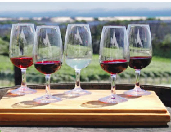 KUMEU WINE COUNTRY    Half Day Tour    NZD$180  /per Adult &nbsp;&nbsp;&nbsp;   NZD$95  /per Child under 12