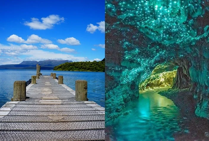 ROTORUA &amp; WAITOMO CAVE    Full Day Tour    NZD$385  /per Adult &nbsp;&nbsp;&nbsp;   NZD$285  /per Child under 12