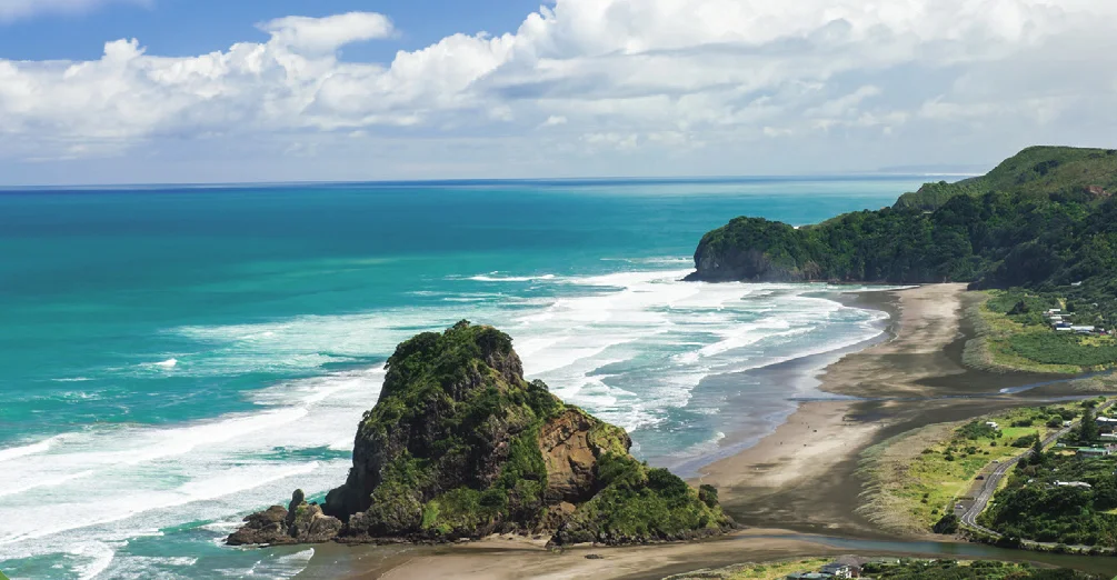 PIHA.jpg