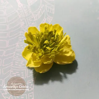 SunkissedFoamiran7.jpg