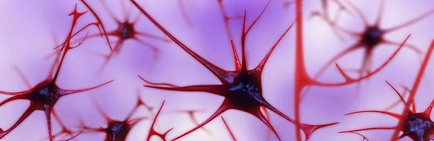 Improving Brain Function With BDNF