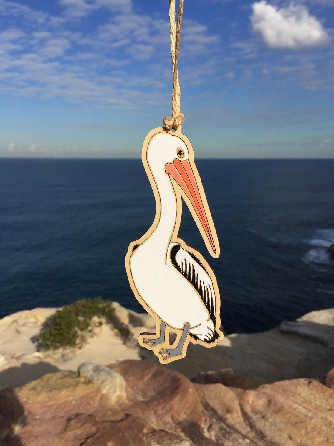 AustralianPelican_OuterIsland.jpg
