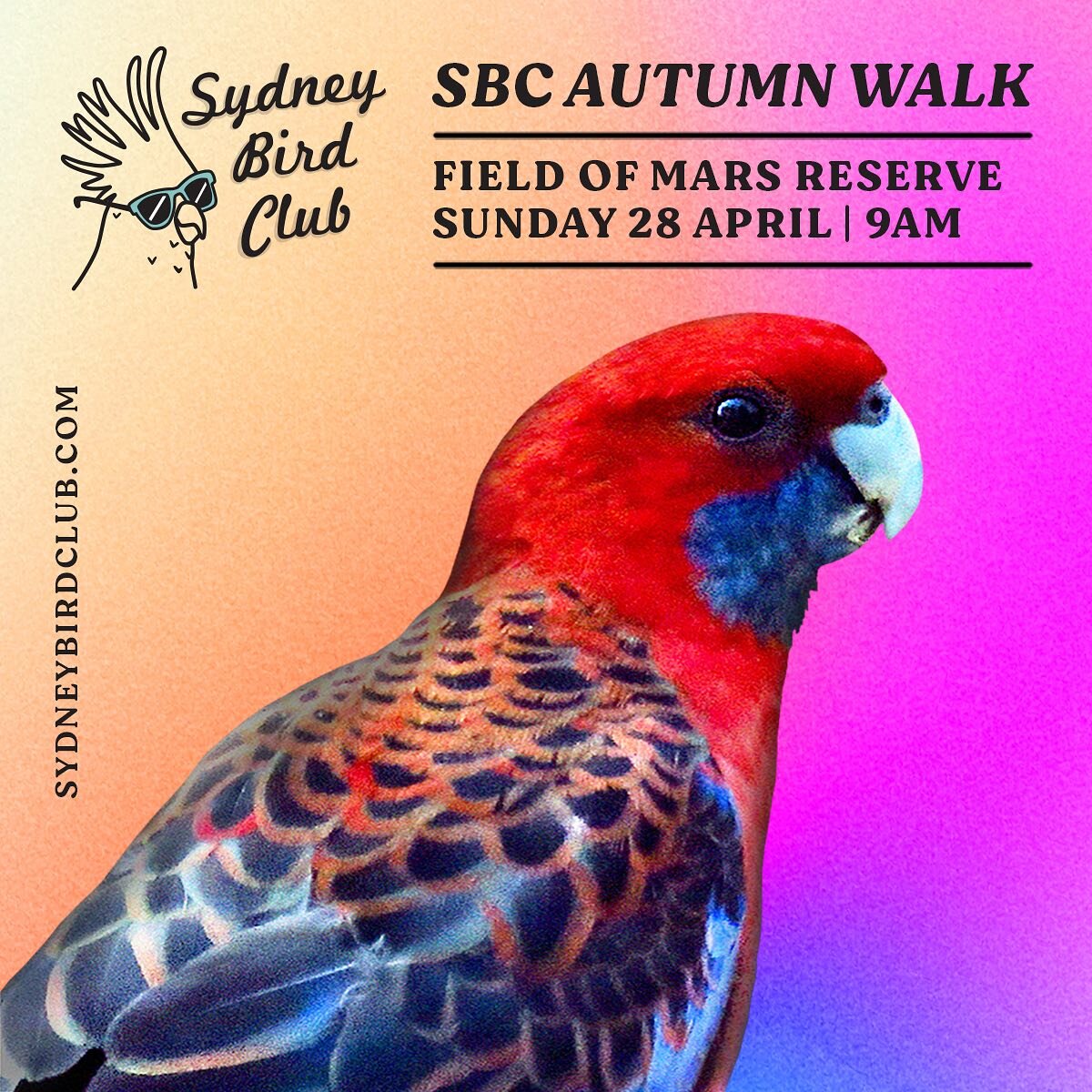 The Autumn Walk launched yesterday and booked out in record time!! ✨ Thank you to everyone who booked and if you missed out please add your name to the waitlist on the Sydney Bird Club website 🐦 

We did move quite a few people off the waitlist for 