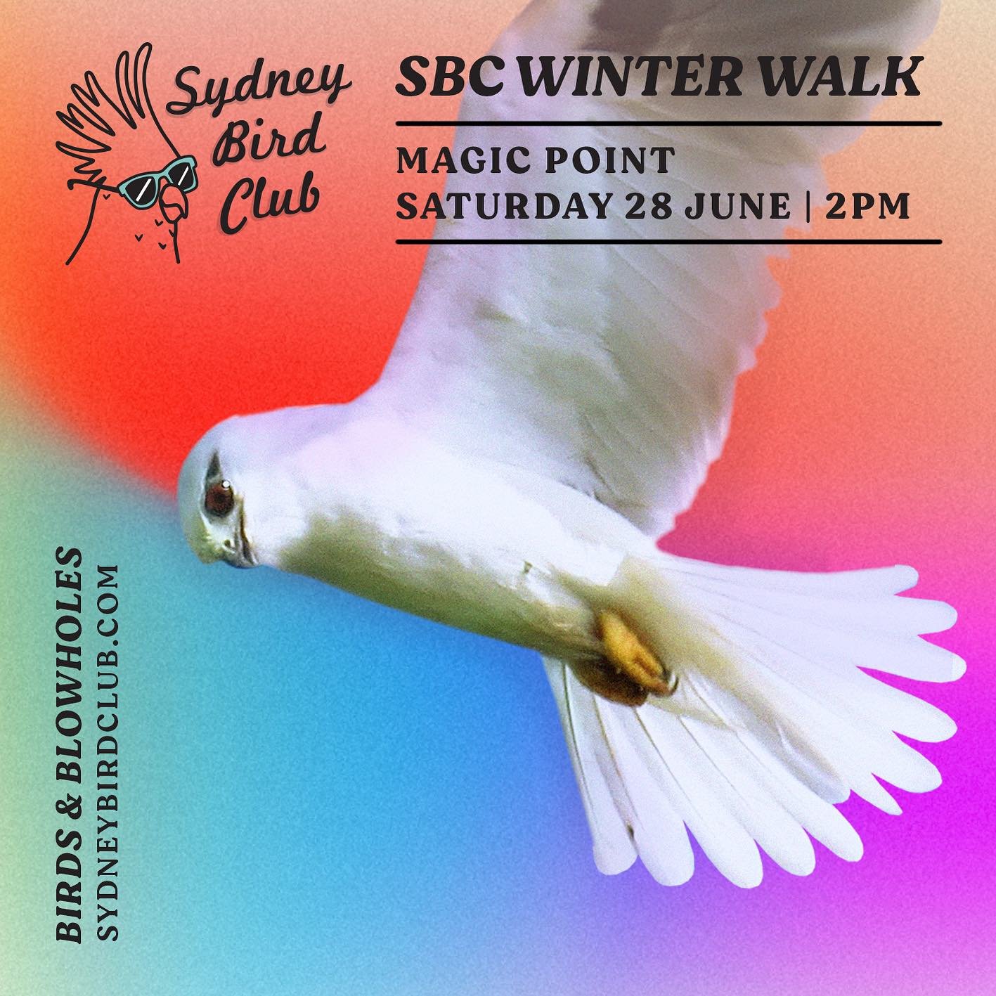 We can&rsquo;t wait for our Winter Walk next weekend! Thanks to everyone who&rsquo;s signed up, folks on the waitlist will be notified early next week if spots open up 🦜🐋

On a personal note, I&rsquo;ve just returned from six weeks in the U.S. (and