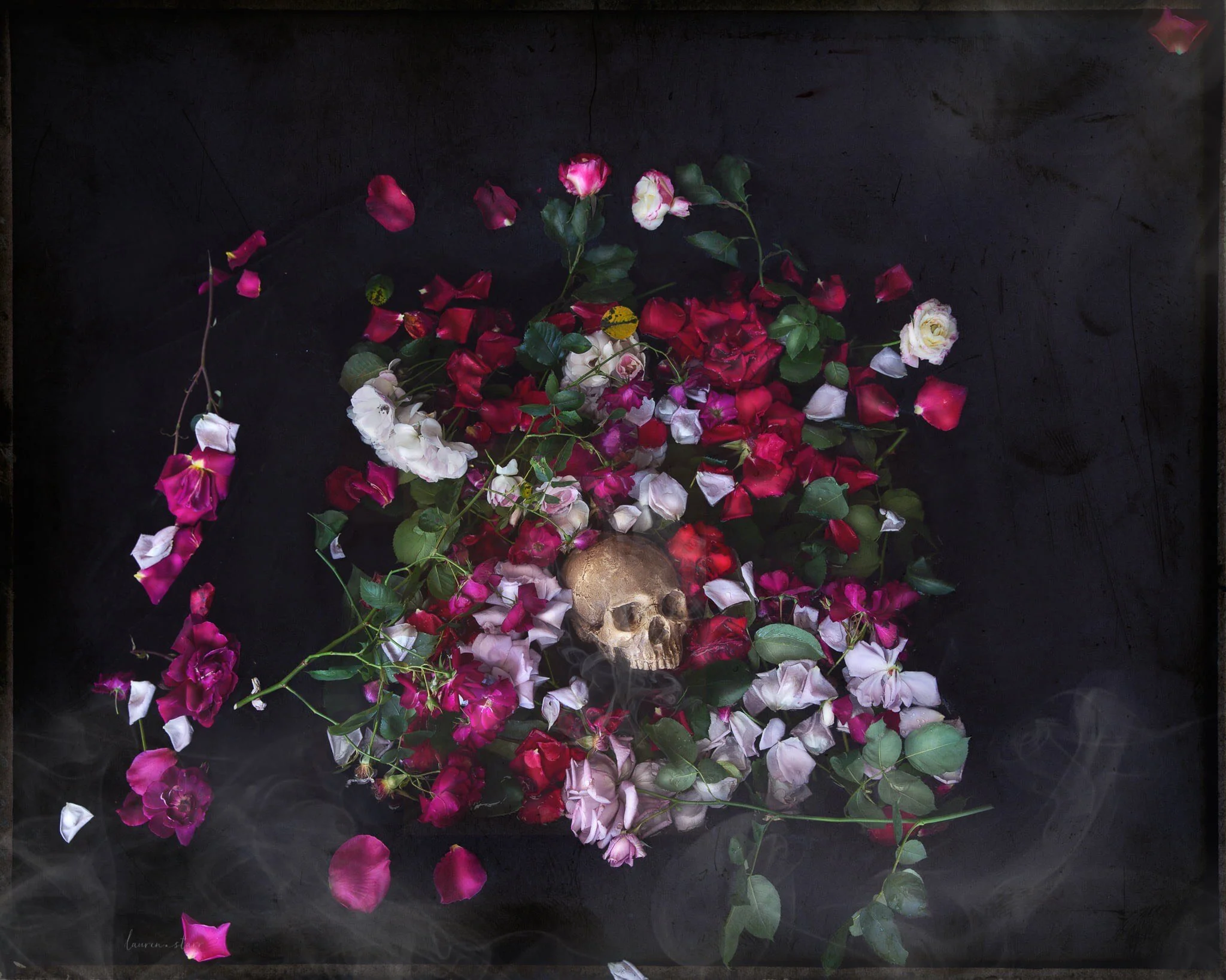 Yorick - Memento Mori