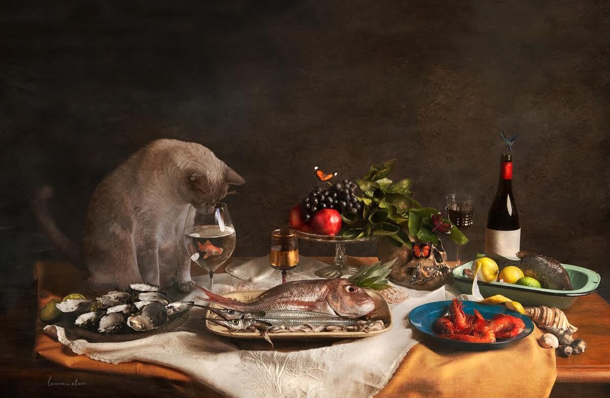 What&rsquo;s new pussy cat? 🤗🐈&zwj;⬛ 

Thomas O'Malley the alley cat - a sumptuous sea food banquet set before him. He is only interested in the little gold fish swimming around in chardonary. What can we read into that? This image was a joy to cre