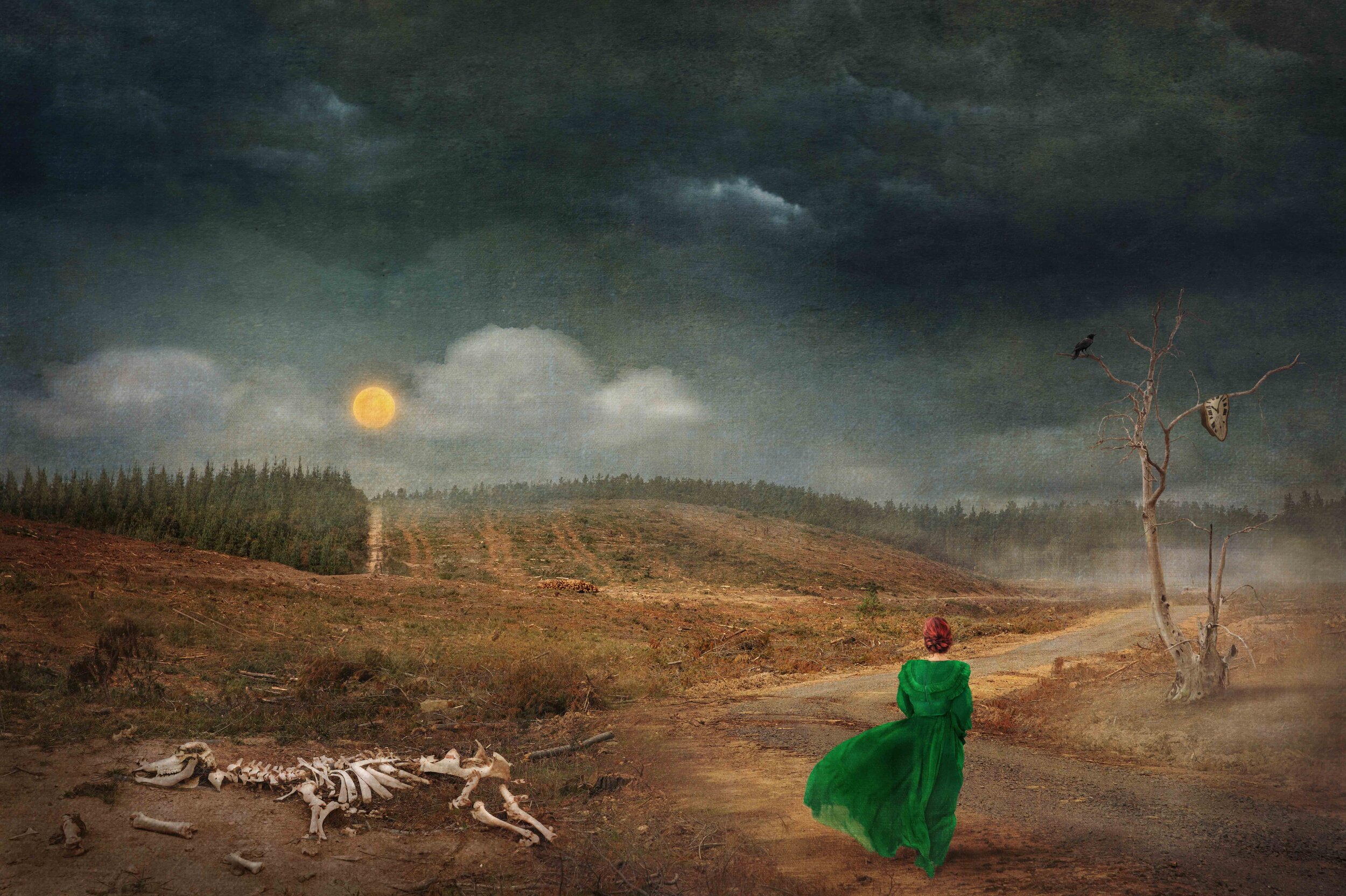 How do I bring value to the world as an artist?