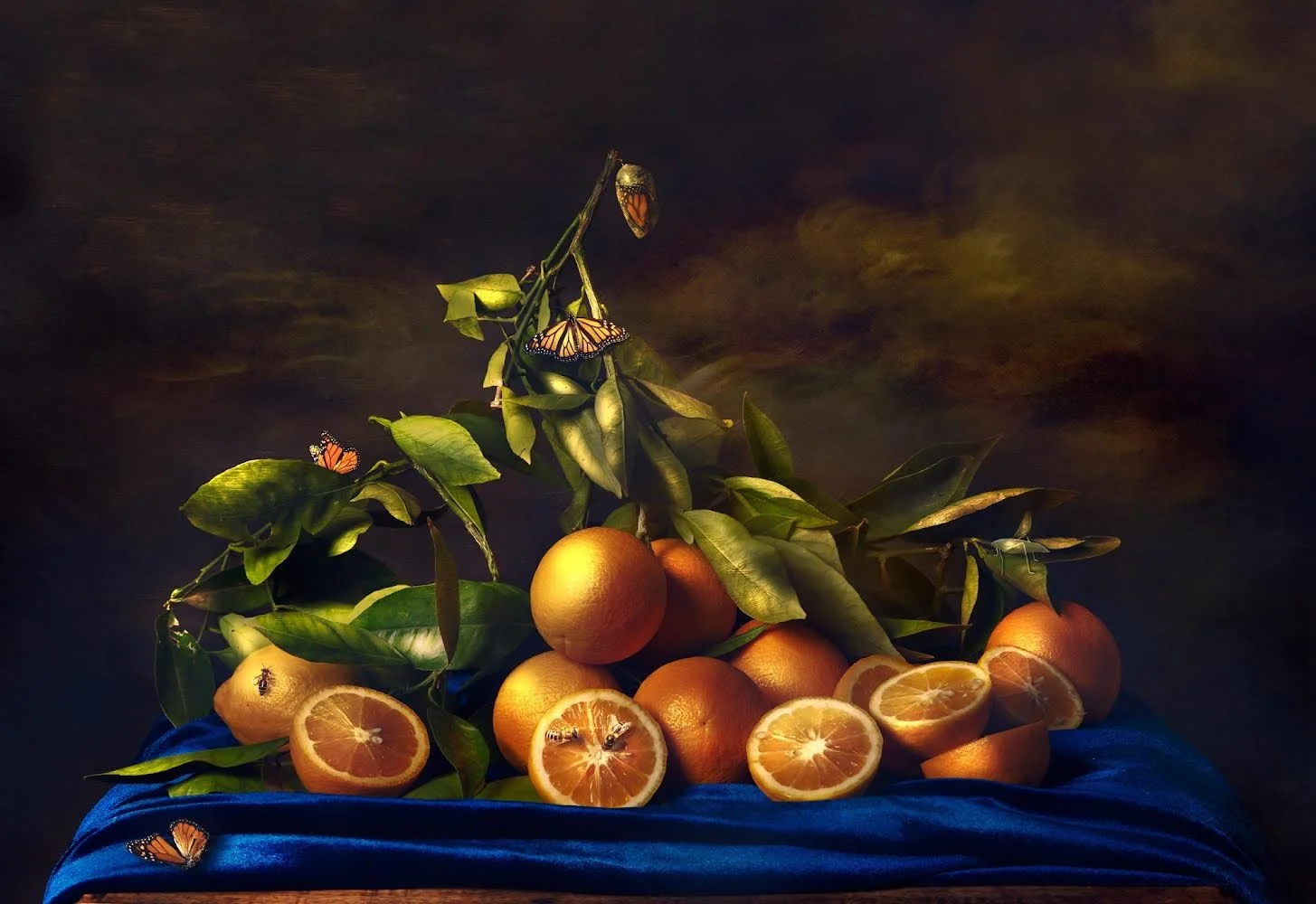 Oranges and Butterflies Still Life - Chrysalis