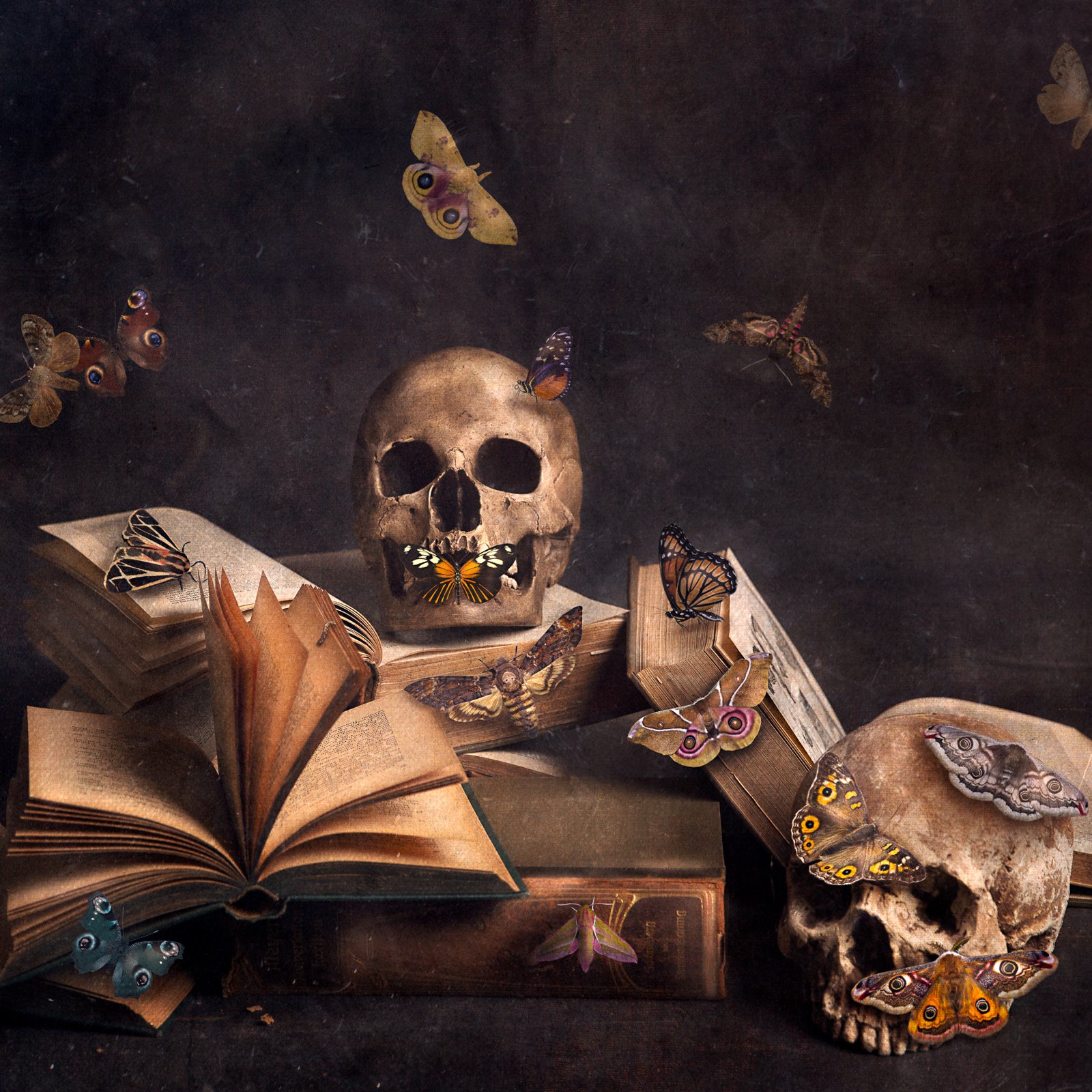 Hannibal and Clarice